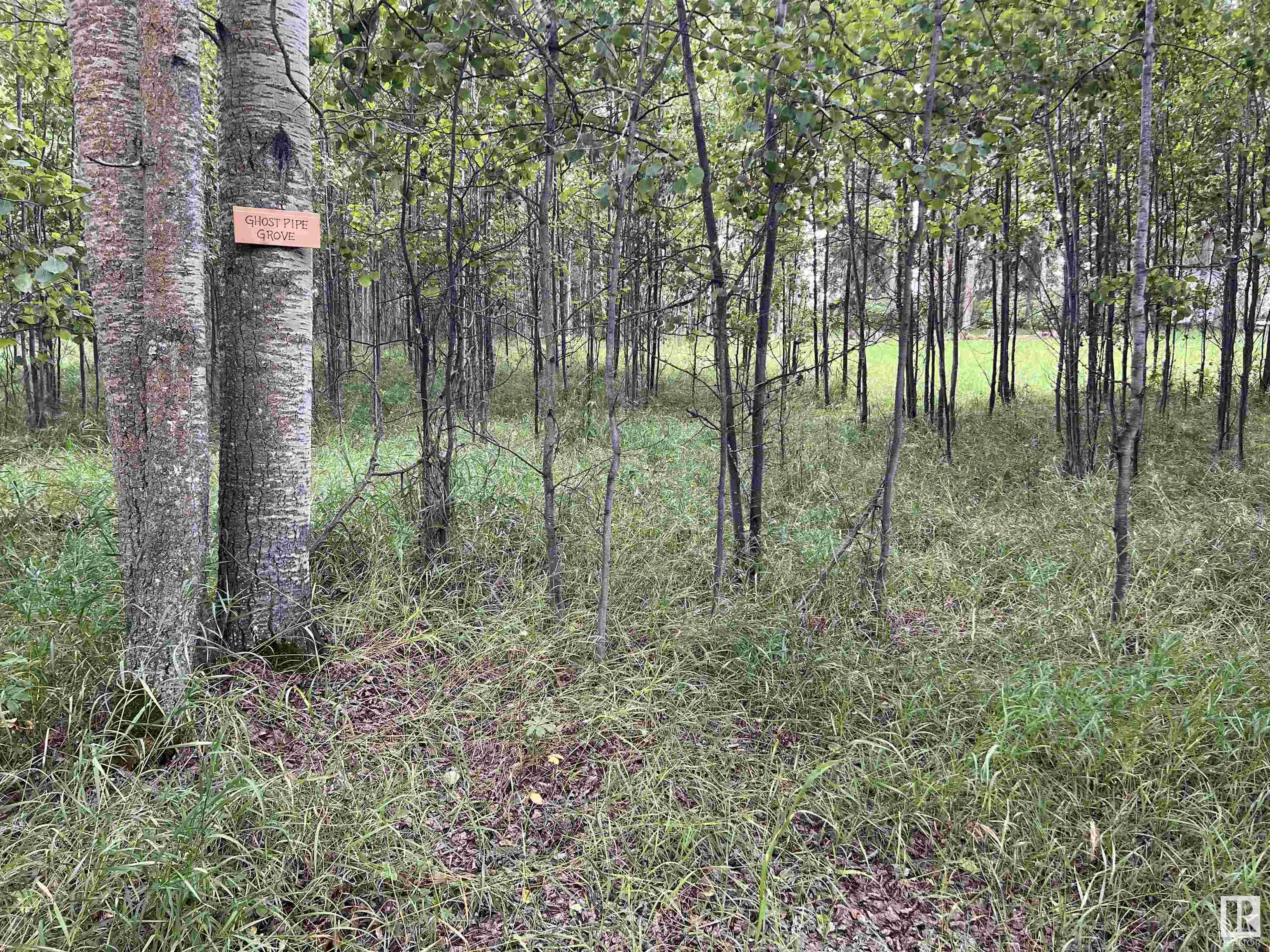      #406 54411 RGE RD 40 , Rural Lac Ste. Anne County,  ,T0E 0A0 ;  Listing Number: MLS E4420224