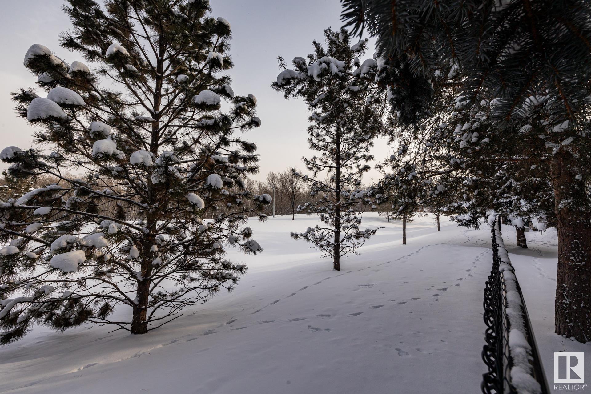      #4 17715 96 AV NW , Edmonton,  ,T5T 6W9 ;  Listing Number: MLS E4420382