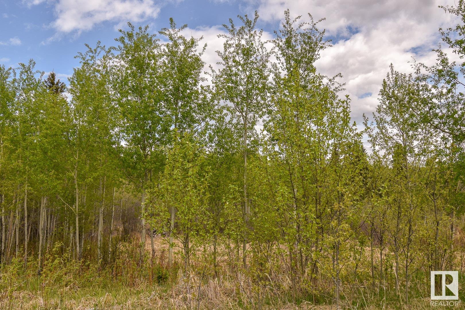      Rge Rd 51 and Twp Rd 555 , Rural Lac Ste. Anne County,  ,T0E 0J0 ;  Listing Number: MLS E4420433
