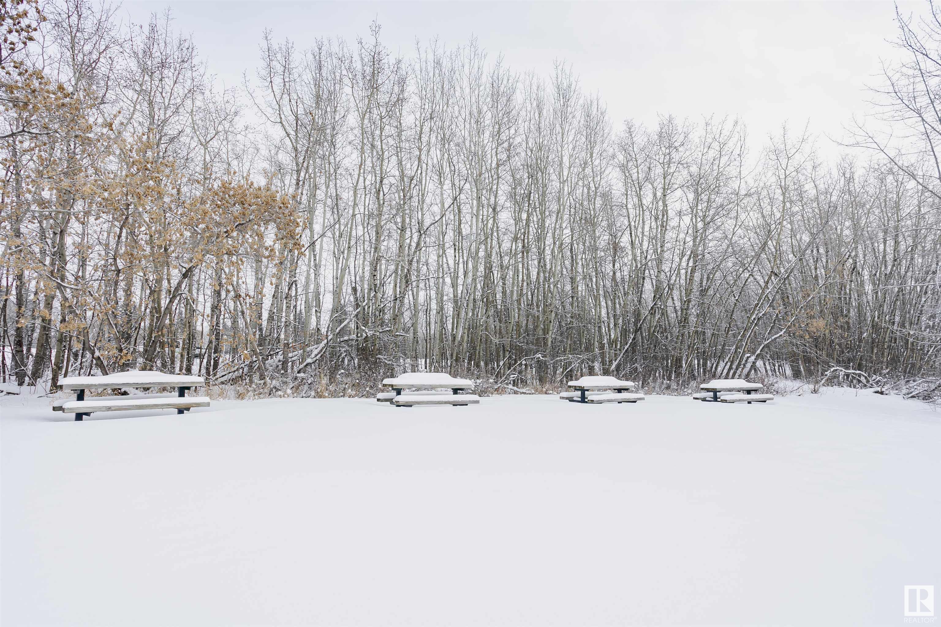      #17 10 GRANGE DR , St. Albert,  ,T8N 5Z2 ;  Listing Number: MLS E4420680