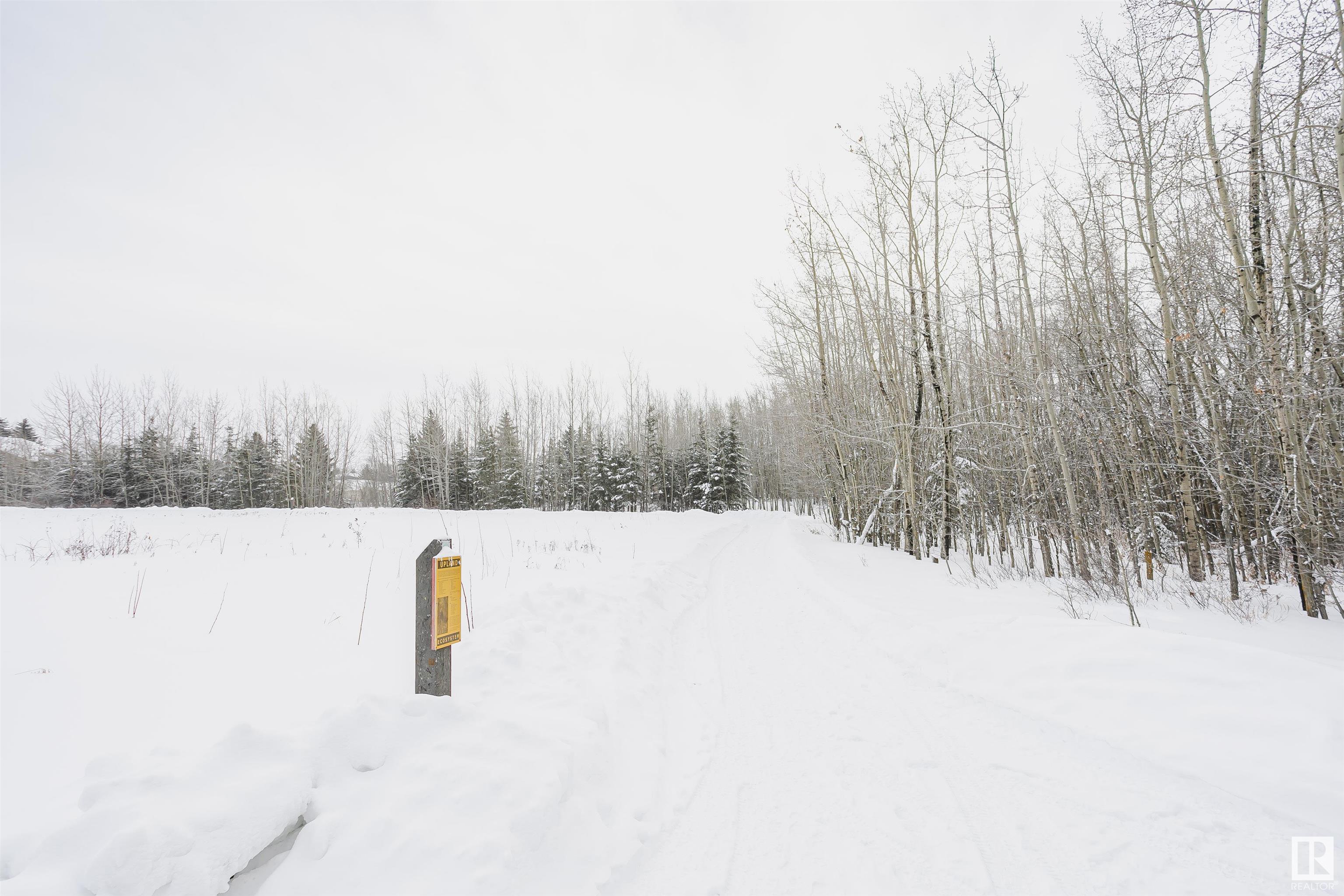     #17 10 GRANGE DR , St. Albert,  ,T8N 5Z2 ;  Listing Number: MLS E4420680