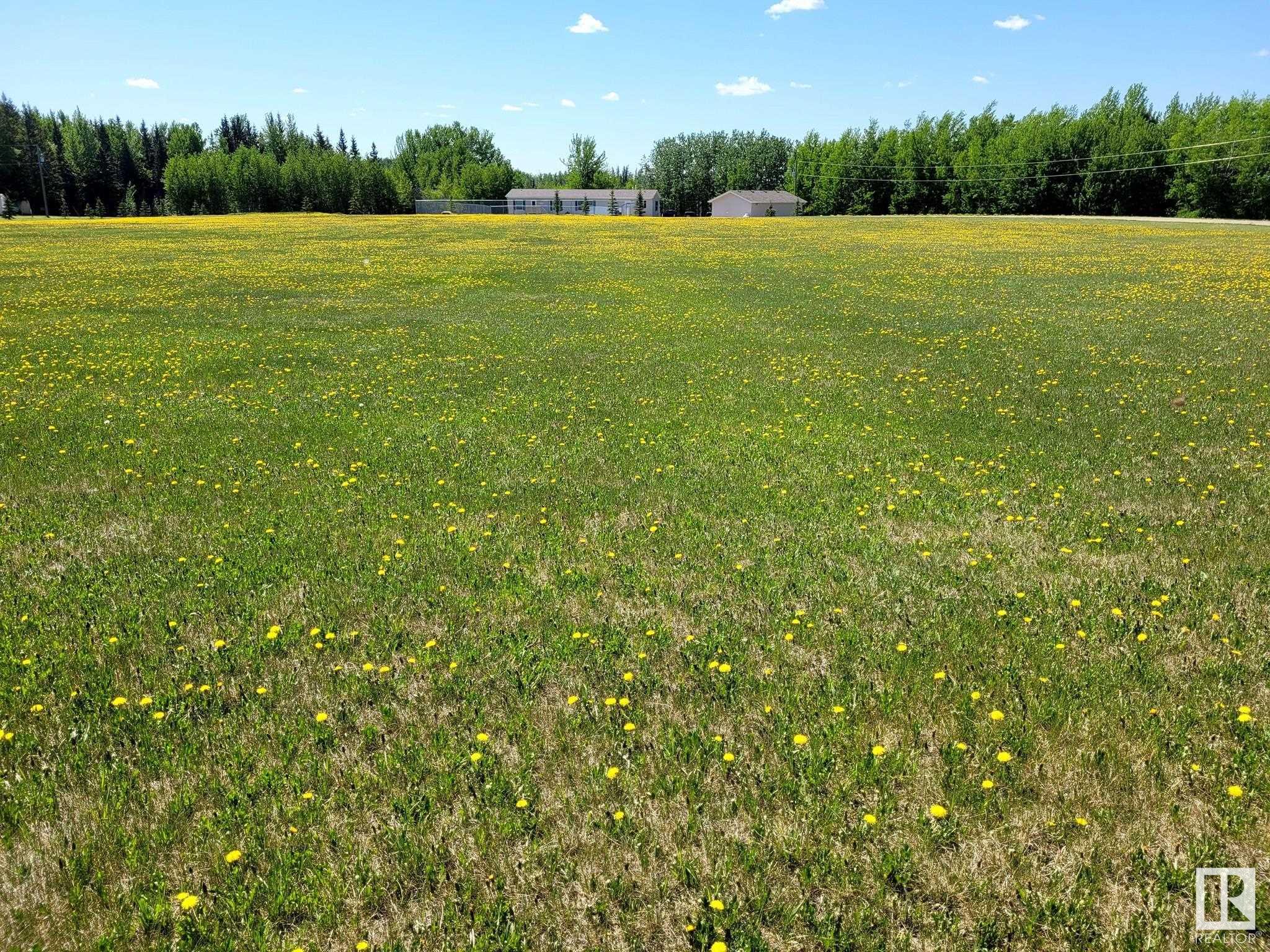      3437 Township Road 494 , Rural Leduc County,  ,T0C 0C0 ;  Listing Number: MLS E4420772