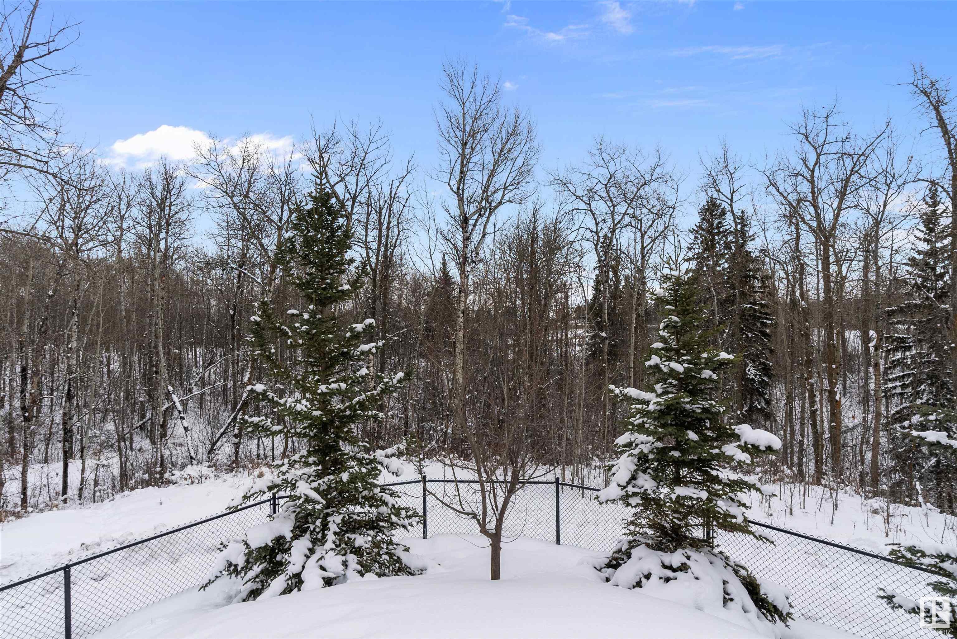      #104 5025 EDGEMONT BV NW , Edmonton,  ,T6M 0S8 ;  Listing Number: MLS E4420883