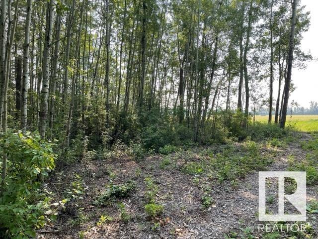      Lot 12 54426 RGE RD 40 , Rural Lac Ste. Anne County,  ,T0E 0A0 ;  Listing Number: MLS E4420946