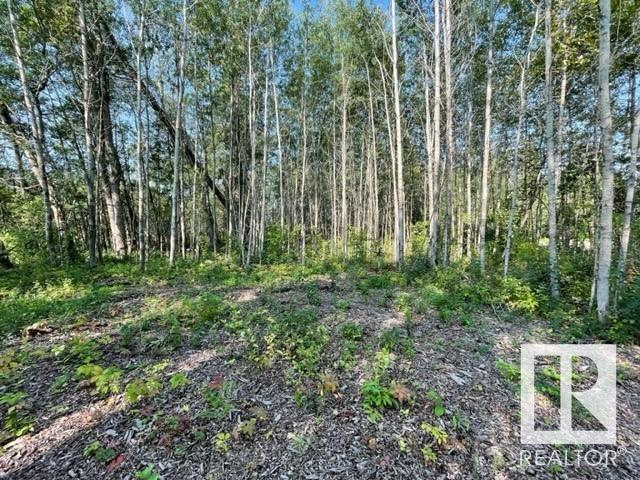      Lot 12 54426 RGE RD 40 , Rural Lac Ste. Anne County,  ,T0E 0A0 ;  Listing Number: MLS E4420946