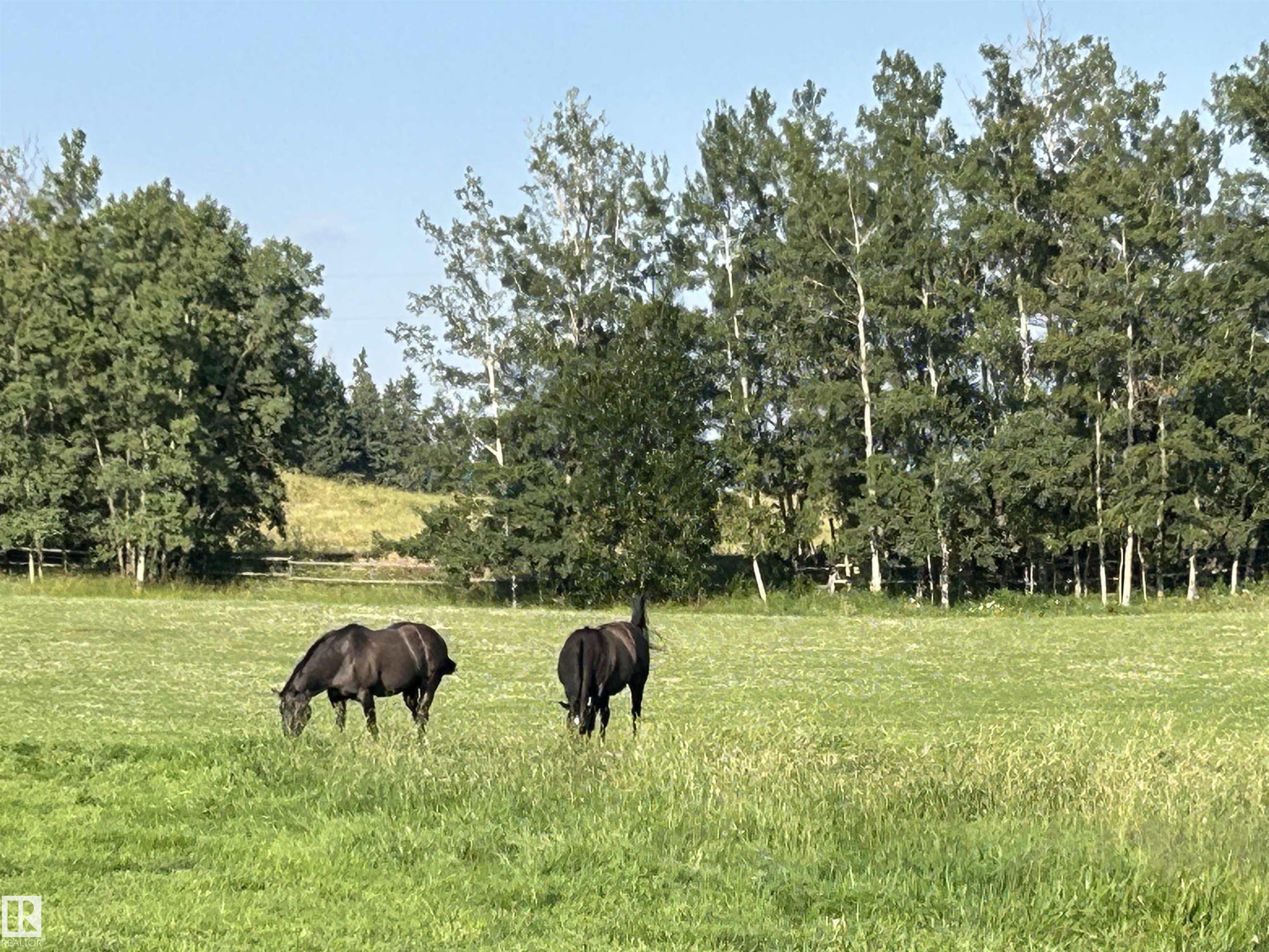 Photo 7 at 51208 Rge Road 233, None, Rural Strathcona County