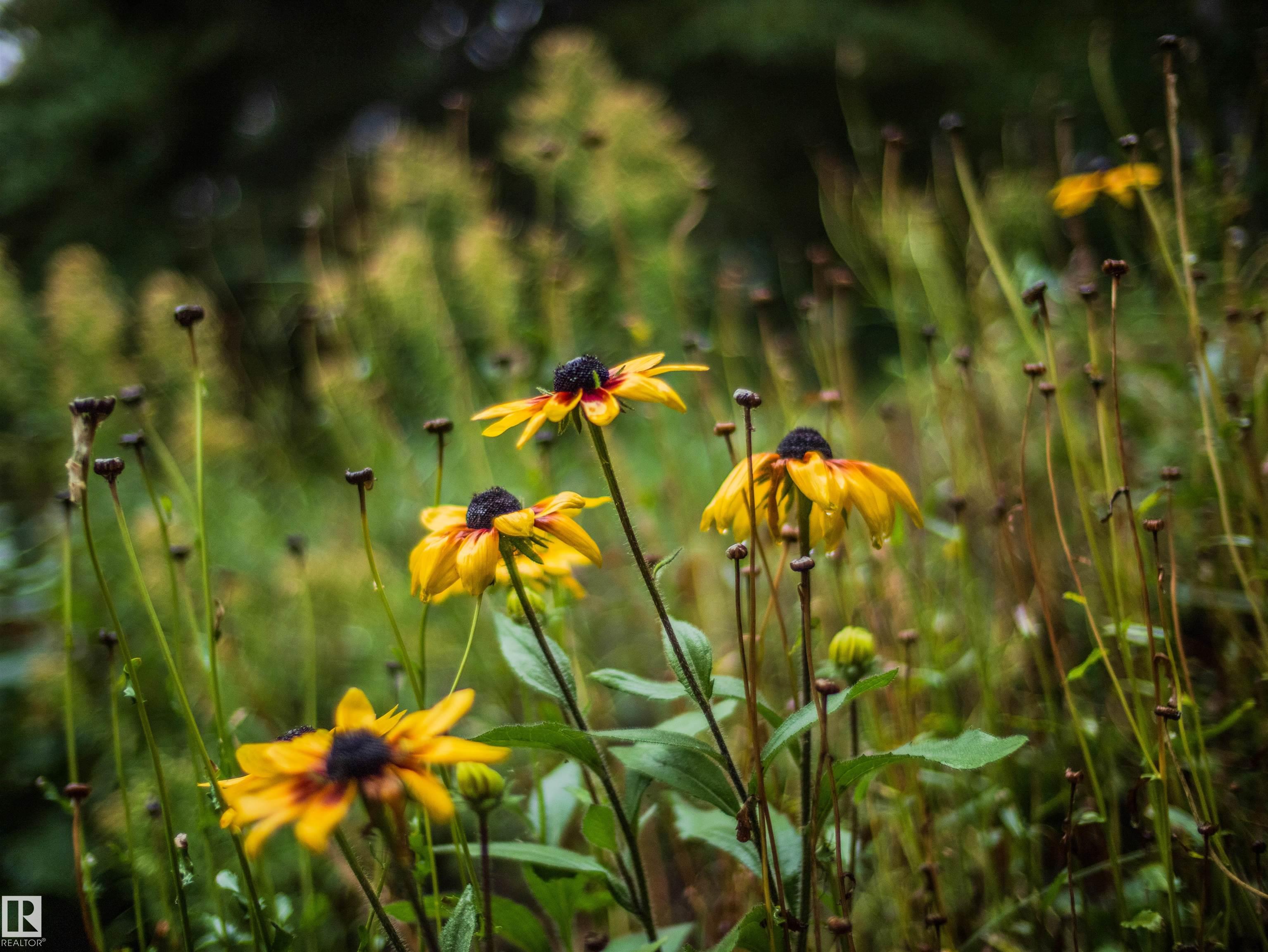Photo 21 at 56 4521 Lakeshore Road, Whitewood Sands, Rural Parkland County