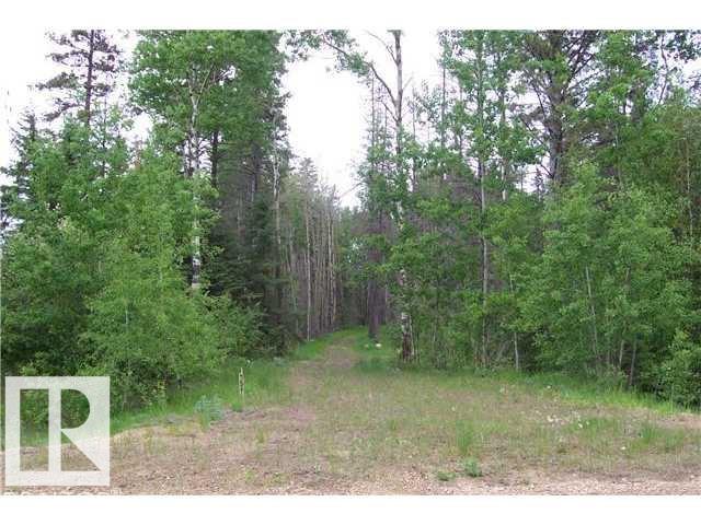 Photo 3 at 33 57108 Range Road 220, Juniper Hills, Rural Sturgeon County