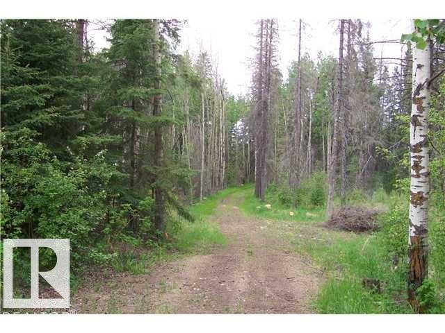 Photo 5 at 33 57108 Range Road 220, Juniper Hills, Rural Sturgeon County