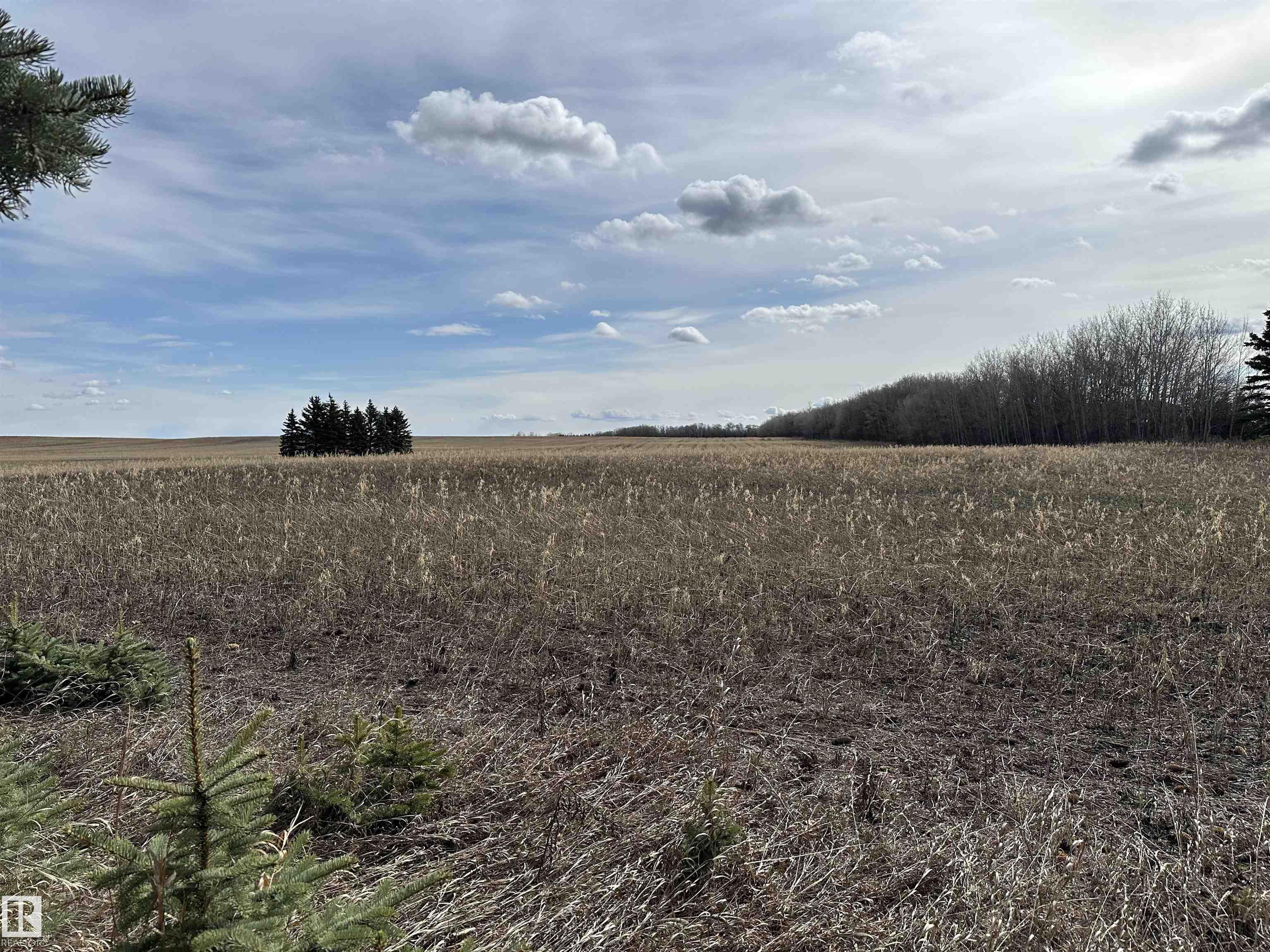Photo 13 at TWP 551 Range Road 260, None, Rural Sturgeon County