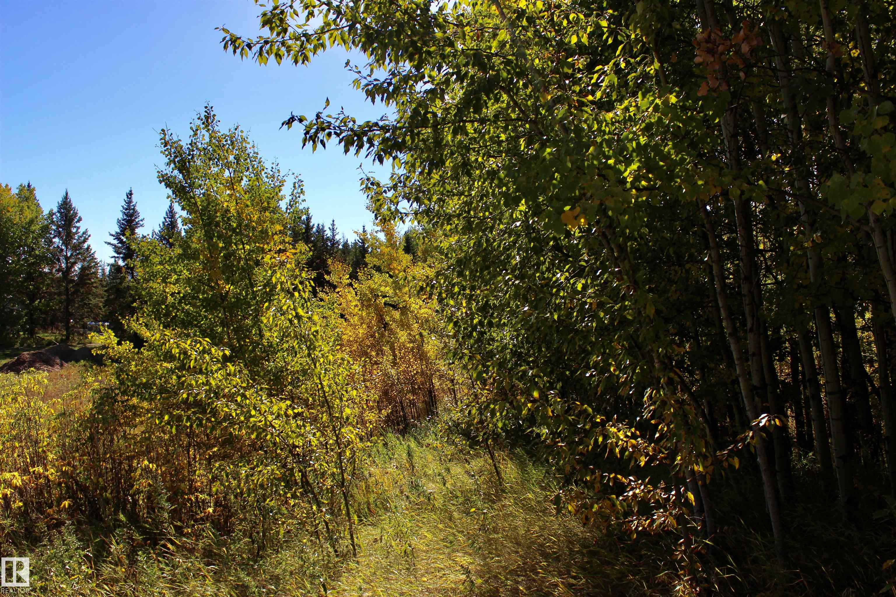 Photo 12 at #113 50529 Rge Road 21, Twin Ravines, Rural Parkland County