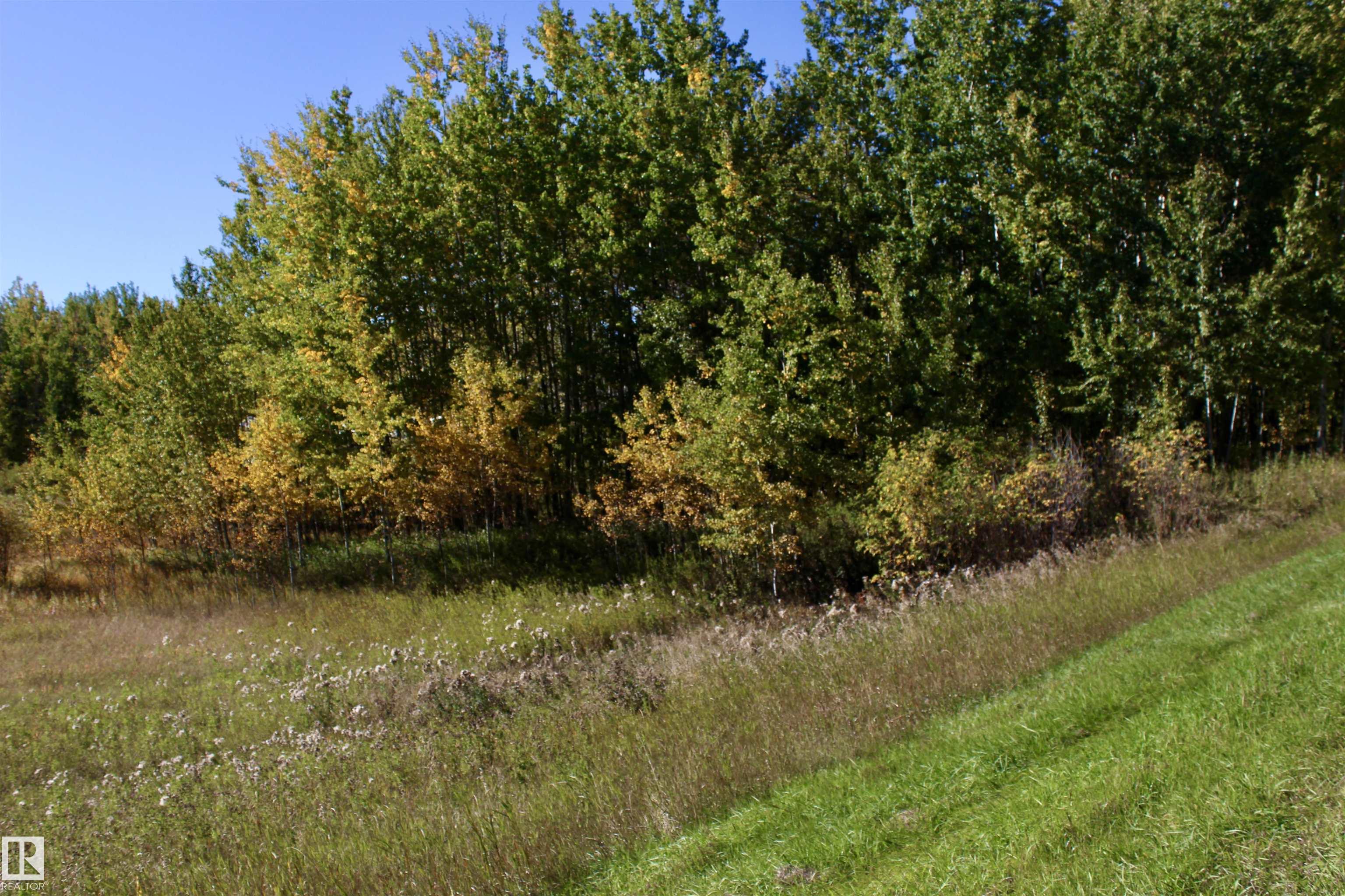 Photo 5 at #113 50529 Rge Road 21, Twin Ravines, Rural Parkland County
