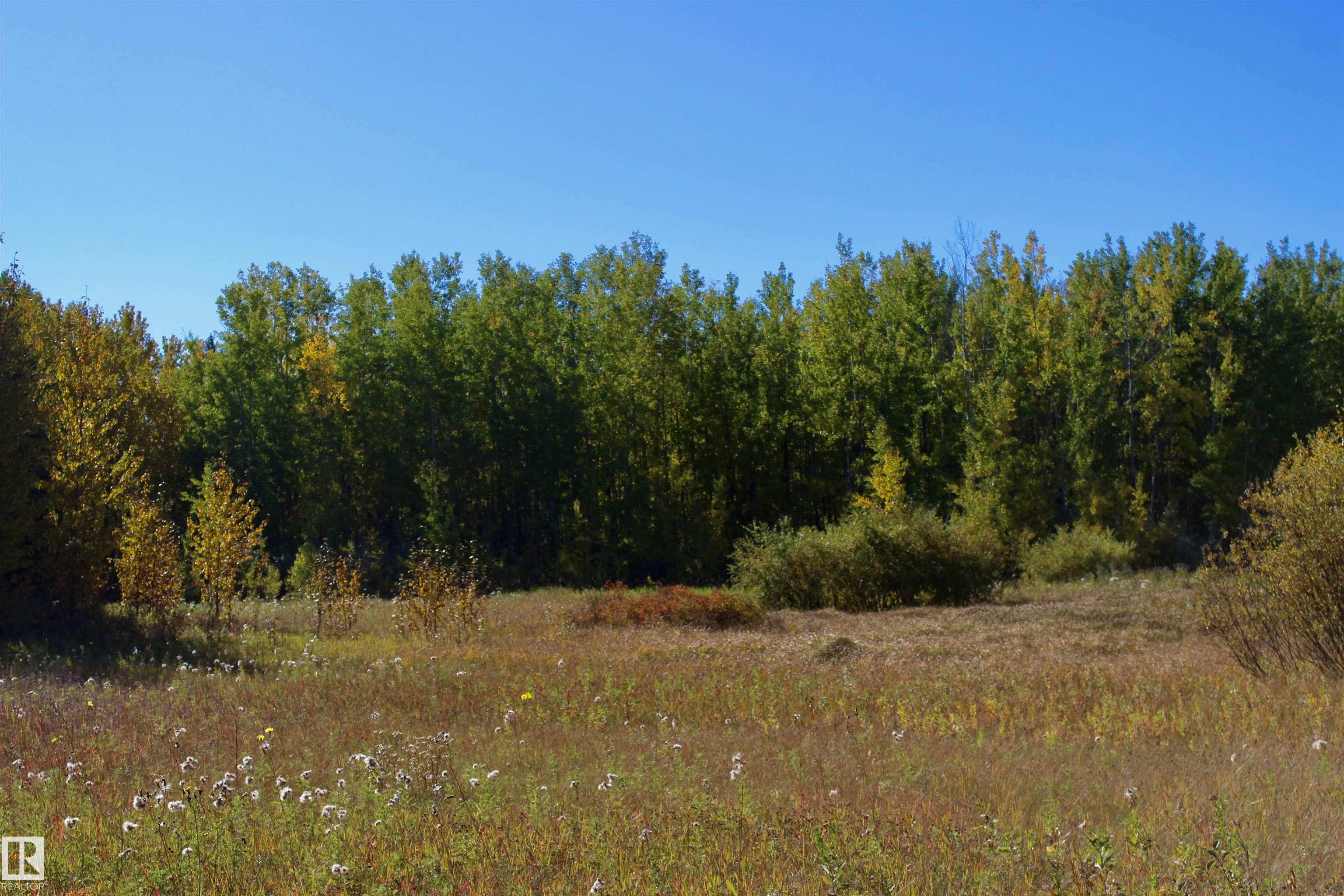 Photo 10 at #113 50529 Rge Road 21, Twin Ravines, Rural Parkland County