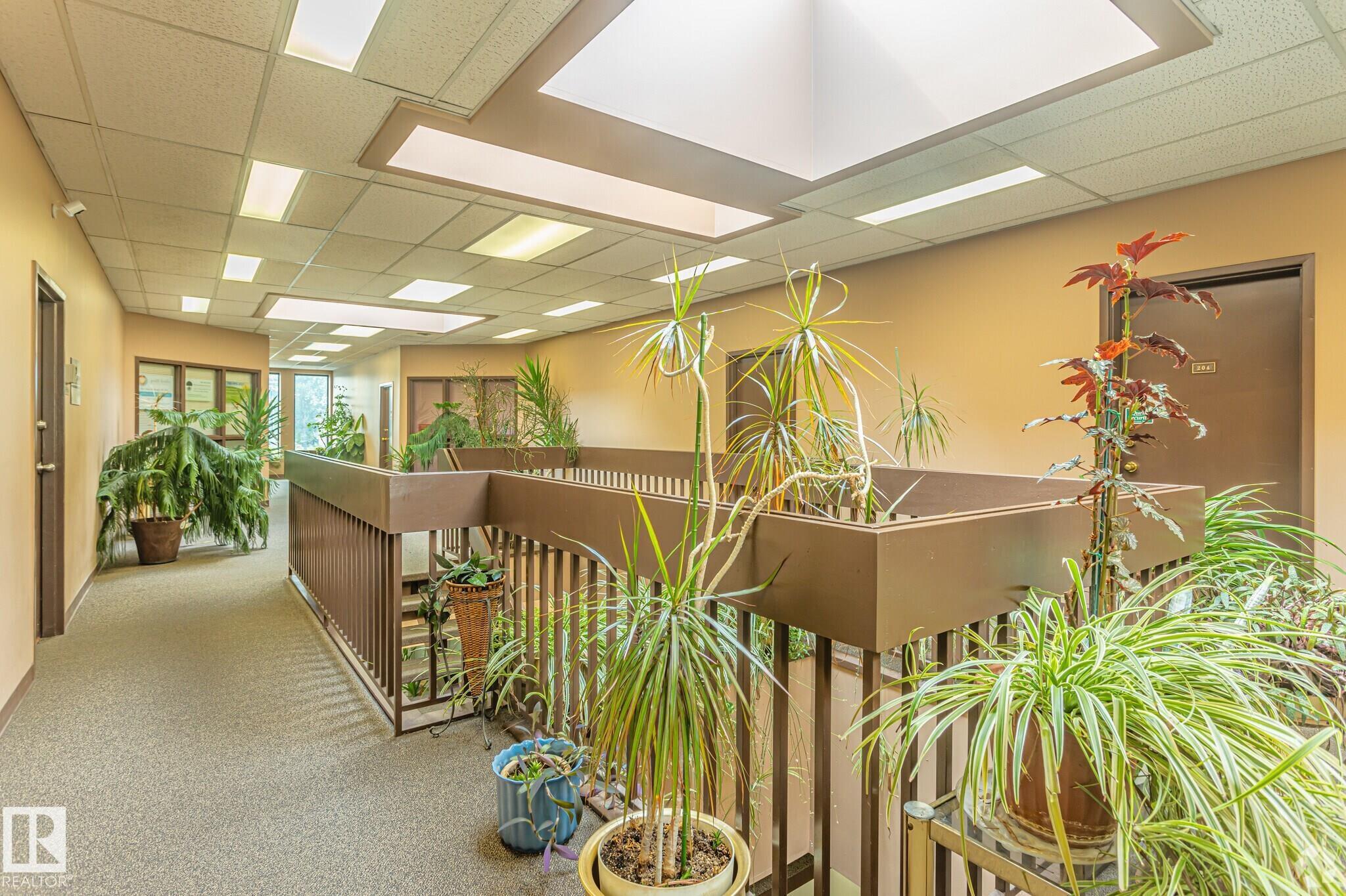 Picture for #206 8704 51 Ave NW