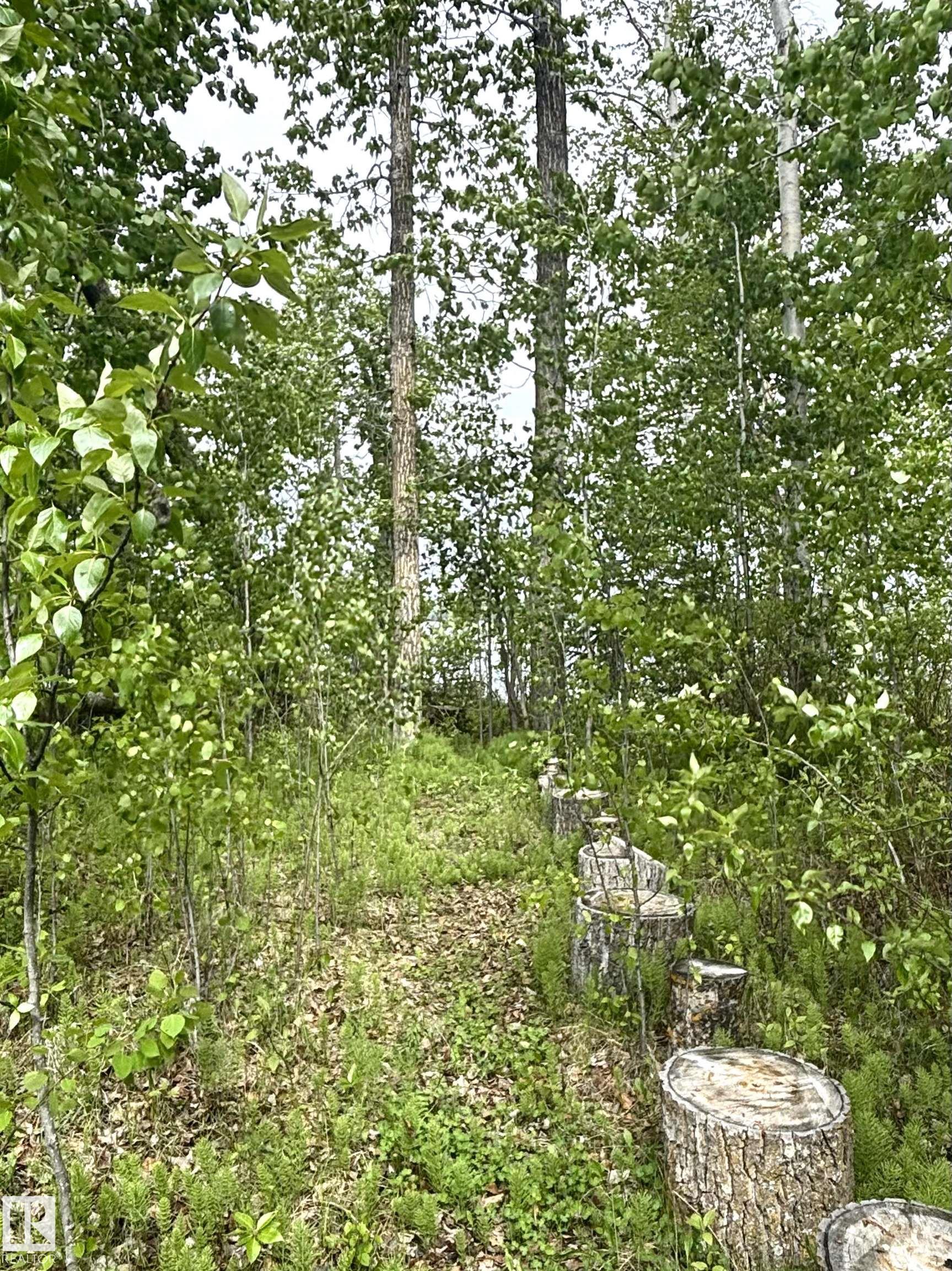 Photo 25 at 222 - 53509 Rge Road 60, Sunset Shores, Rural Parkland County