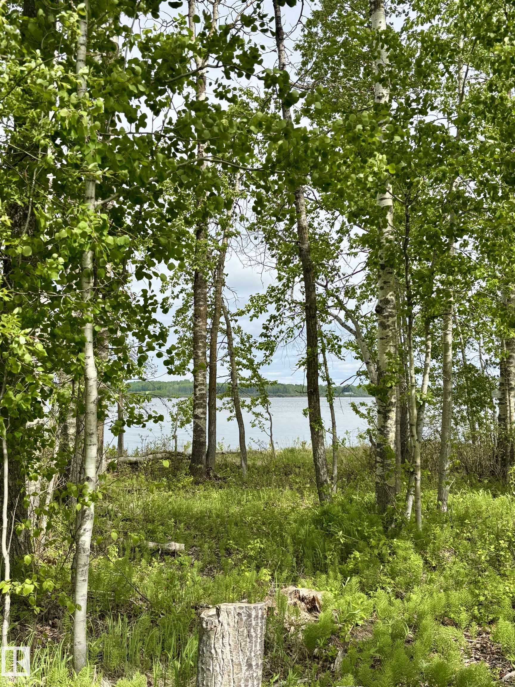 Photo 26 at 222 - 53509 Rge Road 60, Sunset Shores, Rural Parkland County