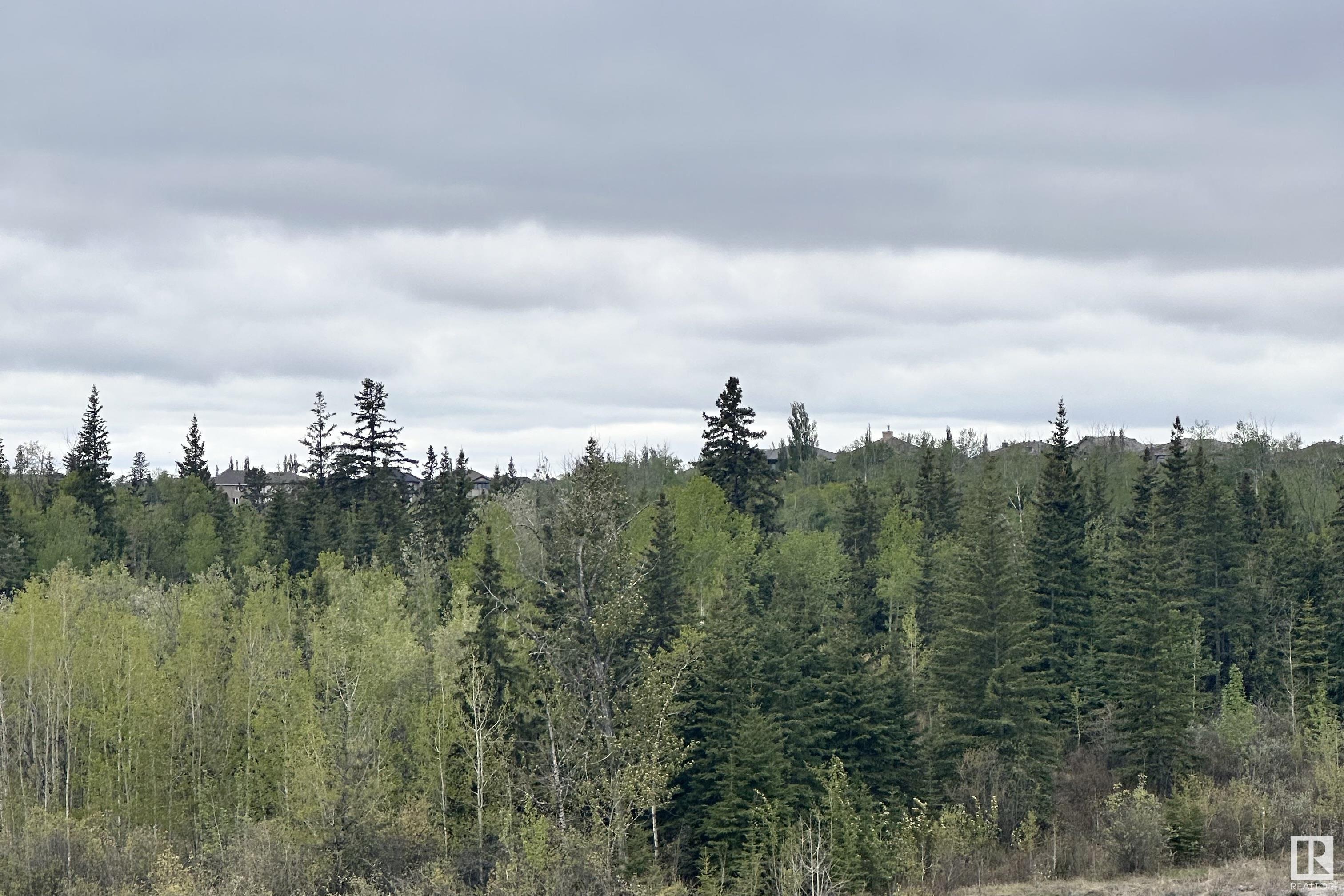 http://cdnparap120.paragonrels.com/ParagonImages/Property/p12/RAE/225350512/51/0/0/e3c1f707fea76f6241c9c593d2d957f8/1/eab94bae72a4343408b94796b632d1d0/225350512-bcfc25b7-8063-421a-9f00-c6f4f8fc6194.JPG