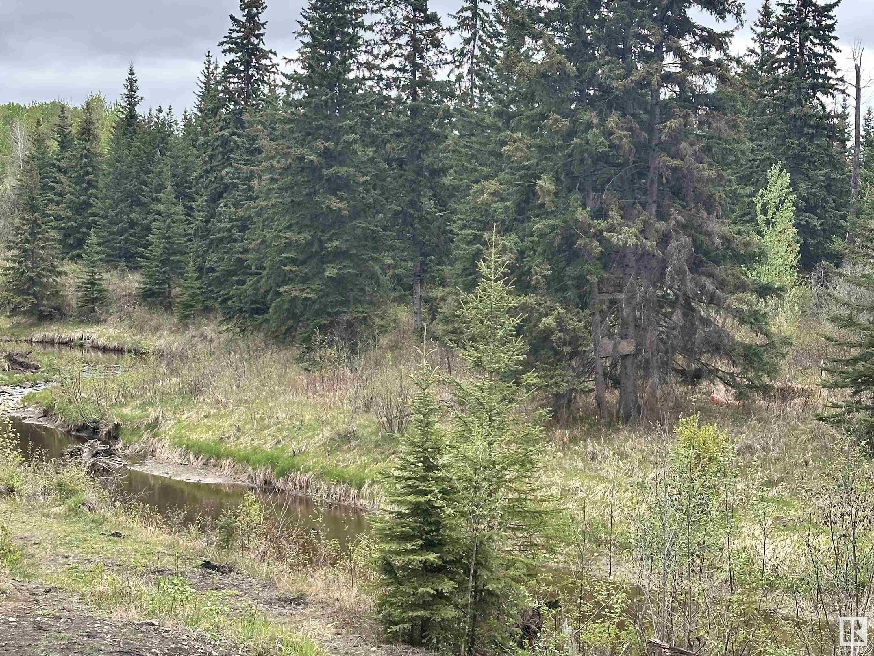 http://cdnparap120.paragonrels.com/ParagonImages/Property/p12/RAE/225350512/53/0/0/146cf66a85388304b65feba370f15e0c/1/eab94bae72a4343408b94796b632d1d0/225350512-44f873e6-e9a2-4c35-8e29-0c70b6705852.JPG