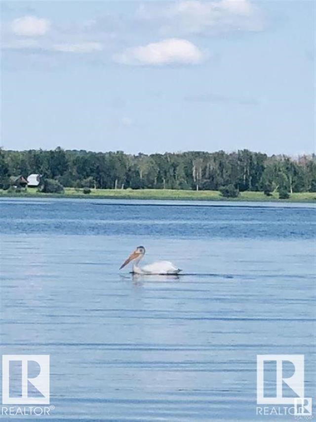 Photo 30 at 106 - 53509 Rge Road 60, Sunset Shores, Rural Parkland County