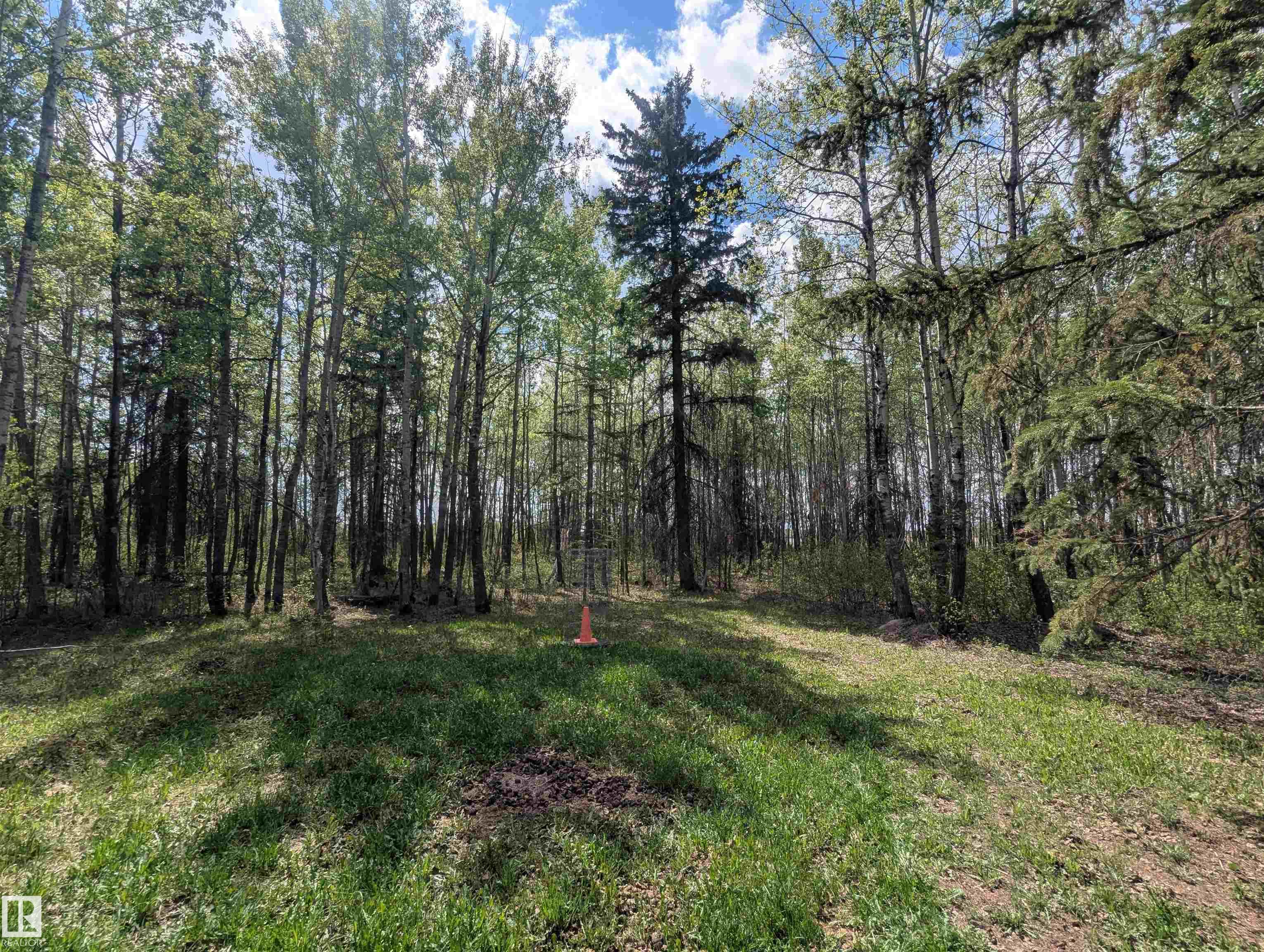 Photo 7 at 21535 Twp Road 510, None, Rural Leduc County