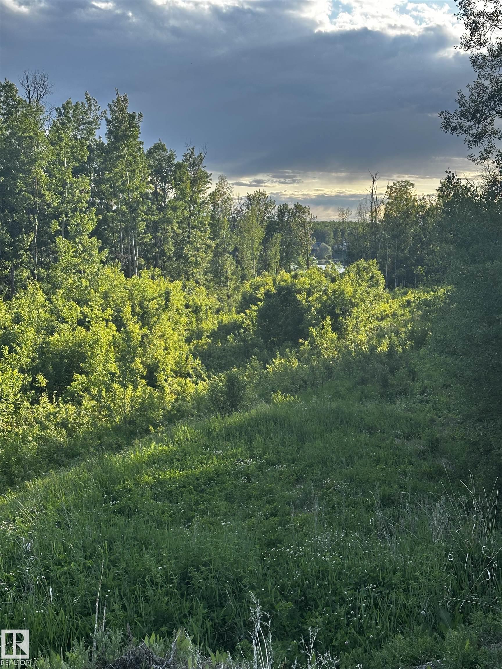 Photo 11 at 103 2307 Twp 522, West Point Estates, Rural Parkland County