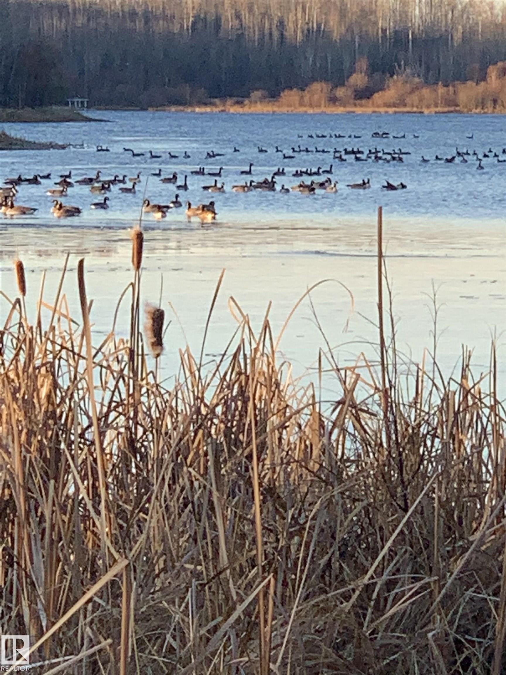 Photo 16 at 103 2307 Twp 522, West Point Estates, Rural Parkland County
