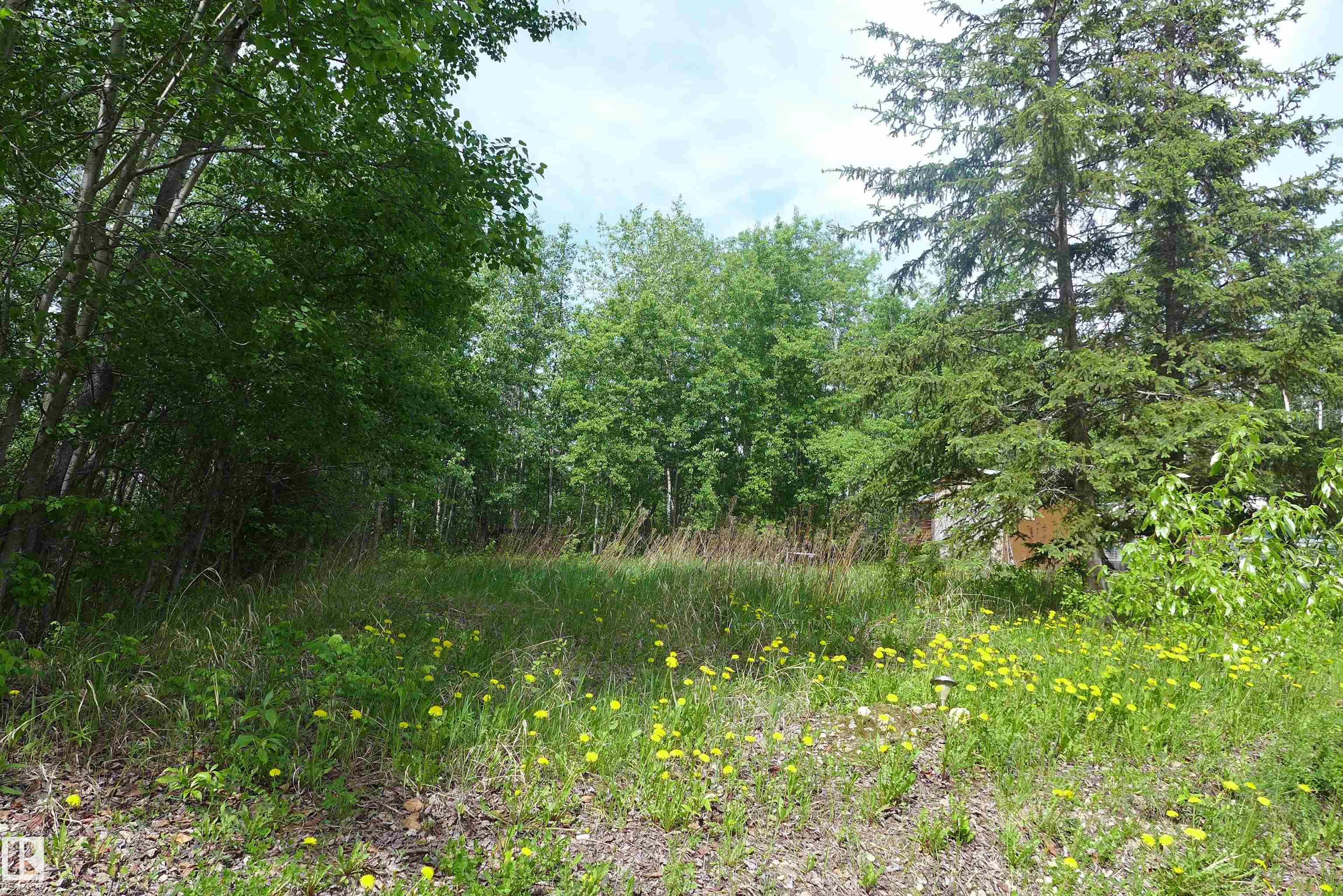 Photo 6 at 5430 Hghway 16, None, Rural Parkland County