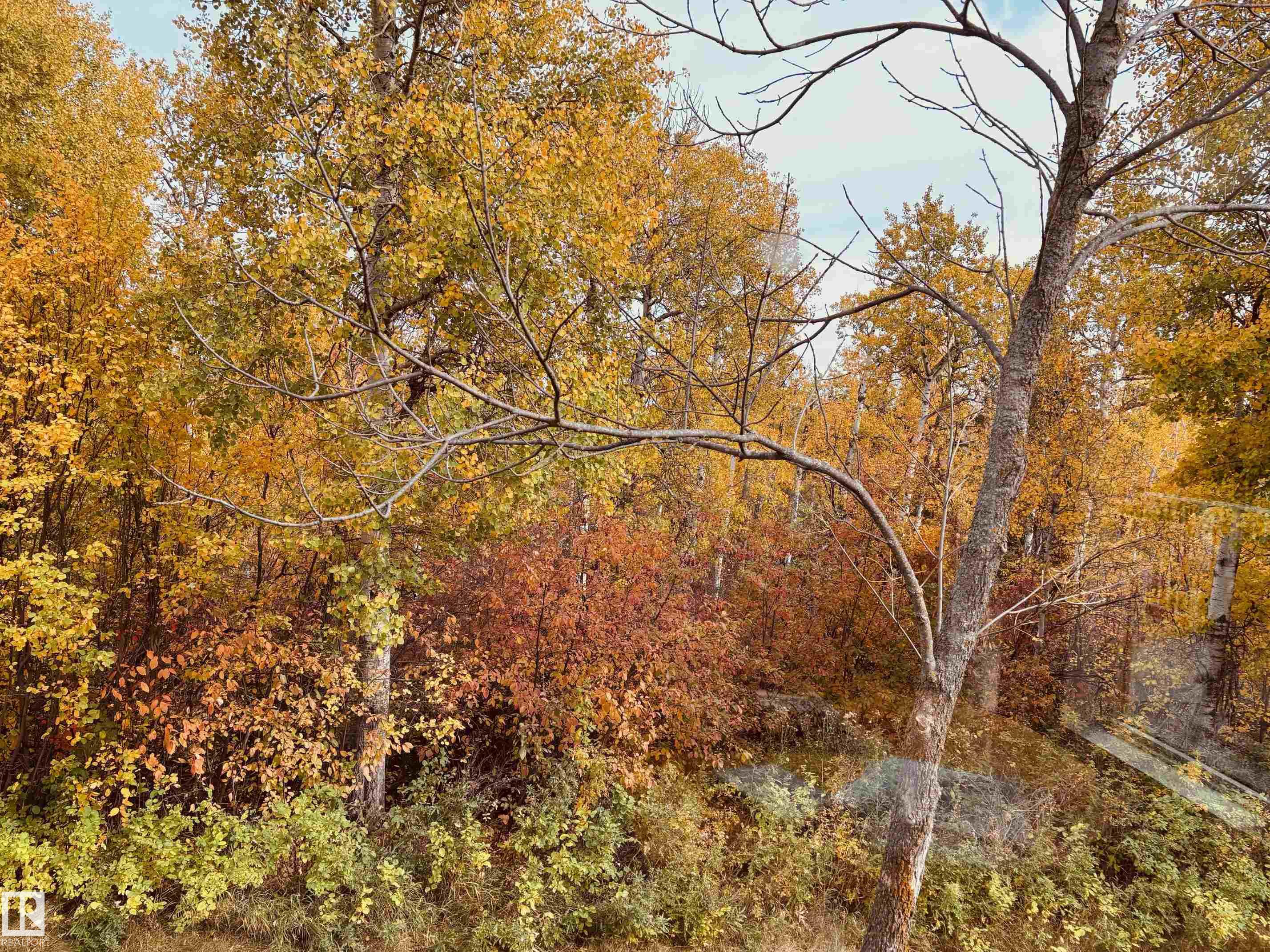 http://cdnparap120.paragonrels.com/ParagonImages/Property/p12/RAE/225353972/41/0/0/c38a6aafd12b584a8ba699be00c2b62e/1/e1ca941ae6cd04cc01647be5b7101e2d/225353972-56b2d586-38c2-4b94-a497-d9d3eac5efbf.JPG