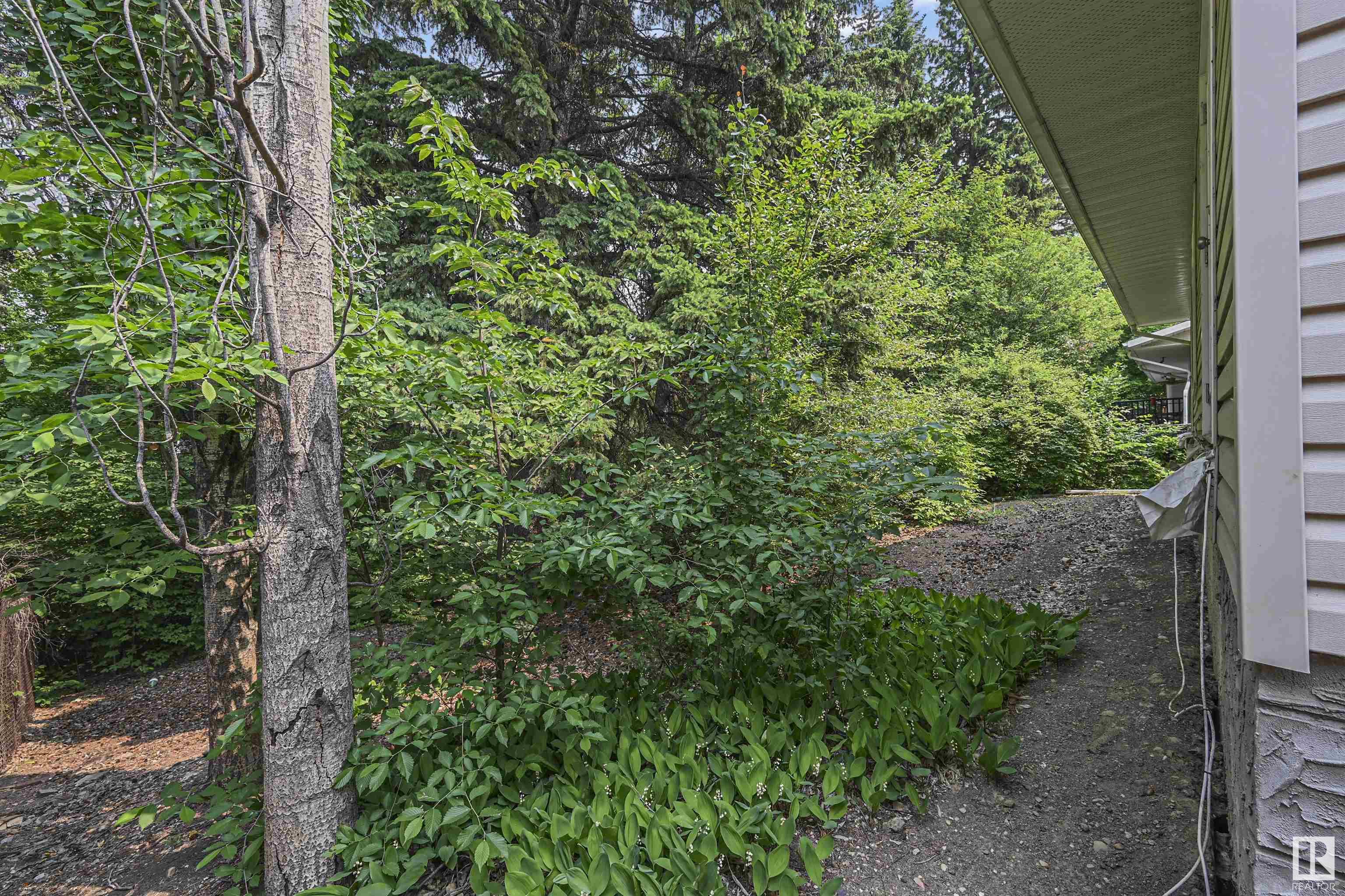 http://cdnparap120.paragonrels.com/ParagonImages/Property/p12/RAE/225355063/15/0/0/f4617c2f49e4233097a519db3faaf866/1/663308b066a90245a5eebfdf904e0855/225355063-92fc19d3-c977-462b-a995-d4e737a276b5.JPG