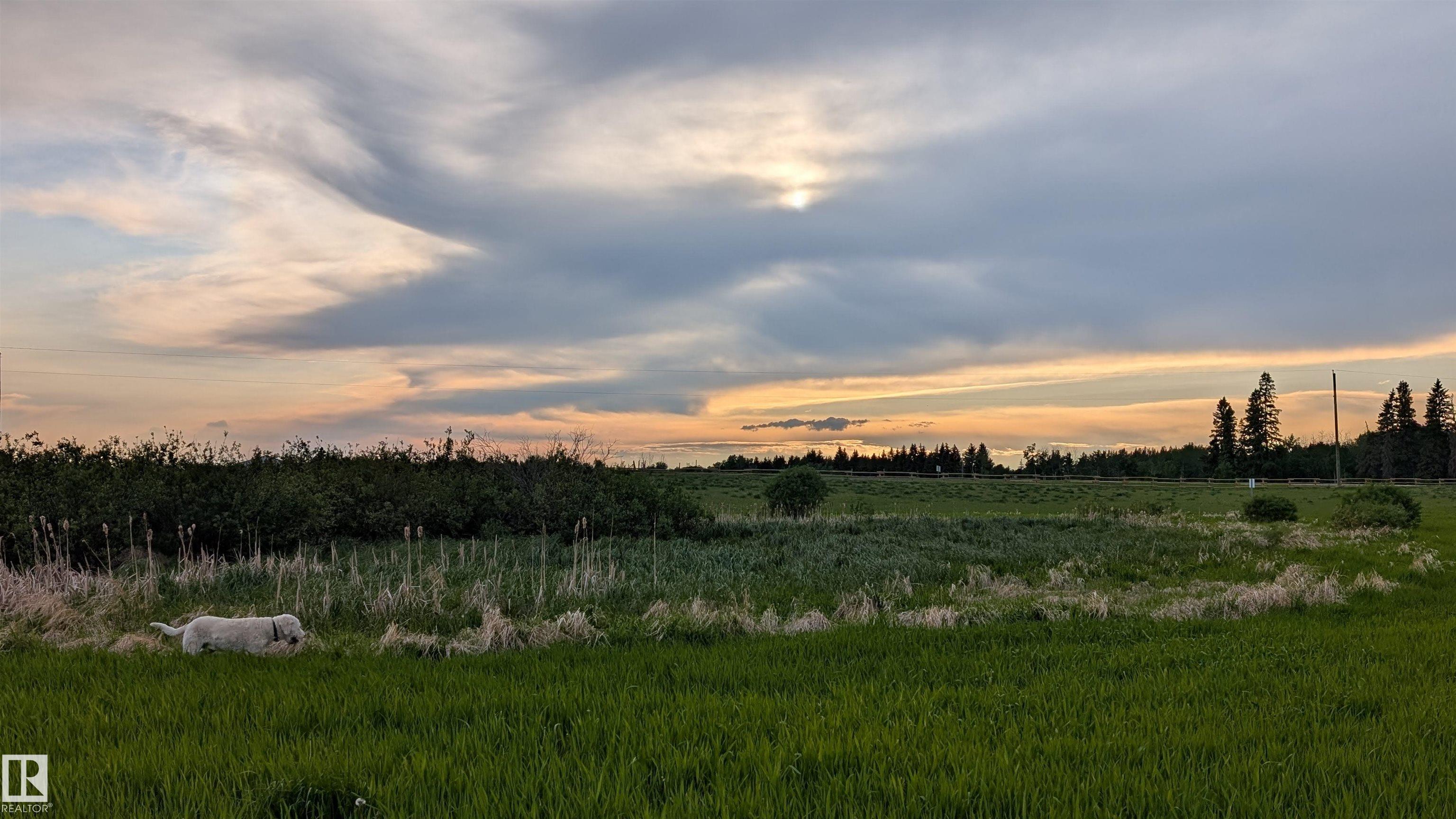 Photo 4 at 21173 Twp Rd 534, None, Rural Strathcona County