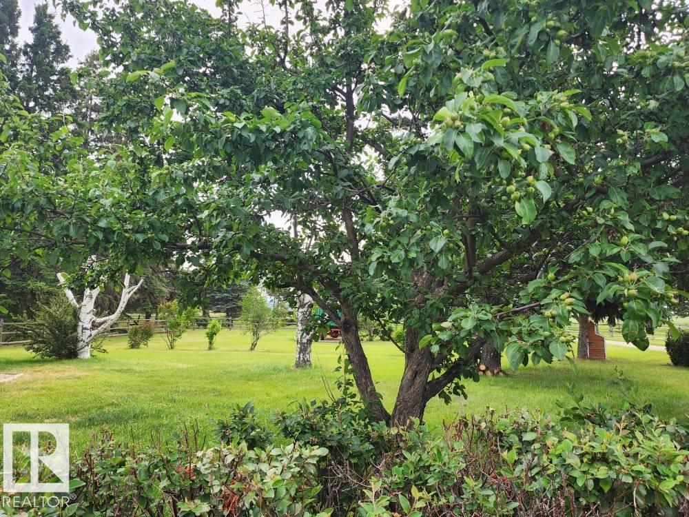 Photo 3 at 49238 Rge Road 253, None, Rural Leduc County