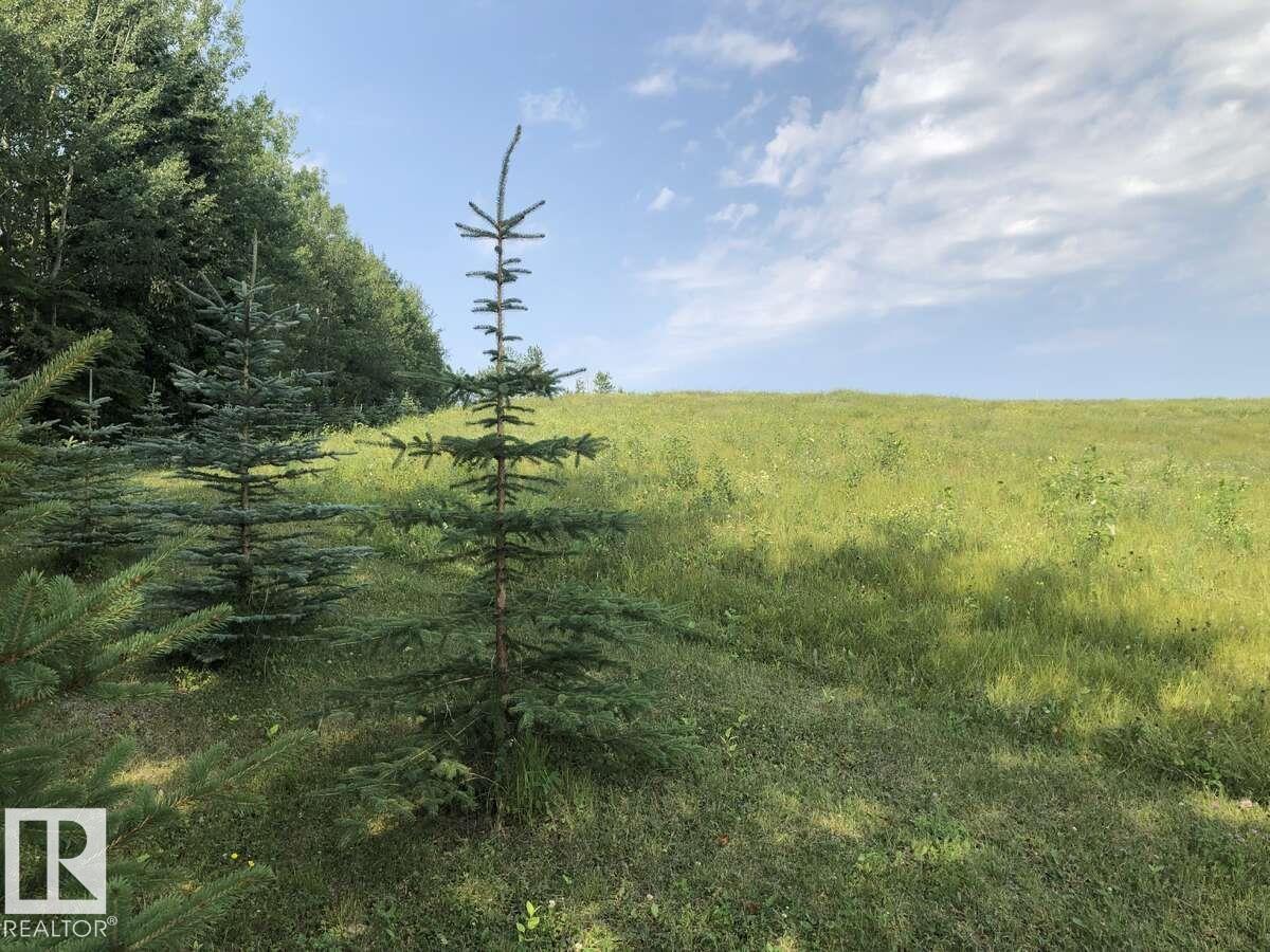 Photo 8 at 7220 Twp Road 532, None, Rural Parkland County