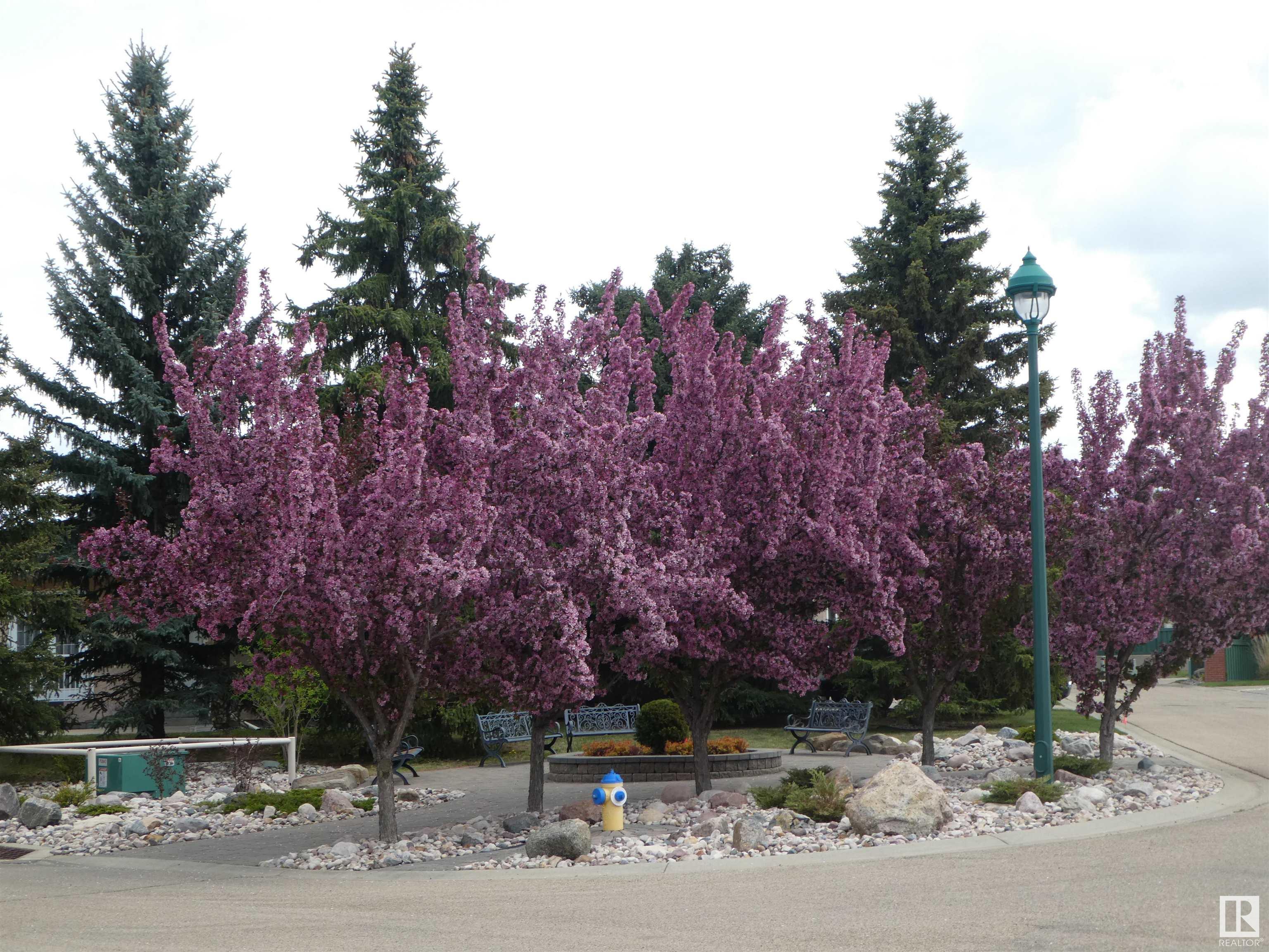 http://cdnparap120.paragonrels.com/ParagonImages/Property/p12/RAE/225358636/43/0/0/0d6da787c618d8dcc9ad64d20678282a/1/68092a627f9e4a83325f64d7f2f75970/225358636-ed08b0c4-04ff-4a9f-a995-bf559bec1f55.JPG