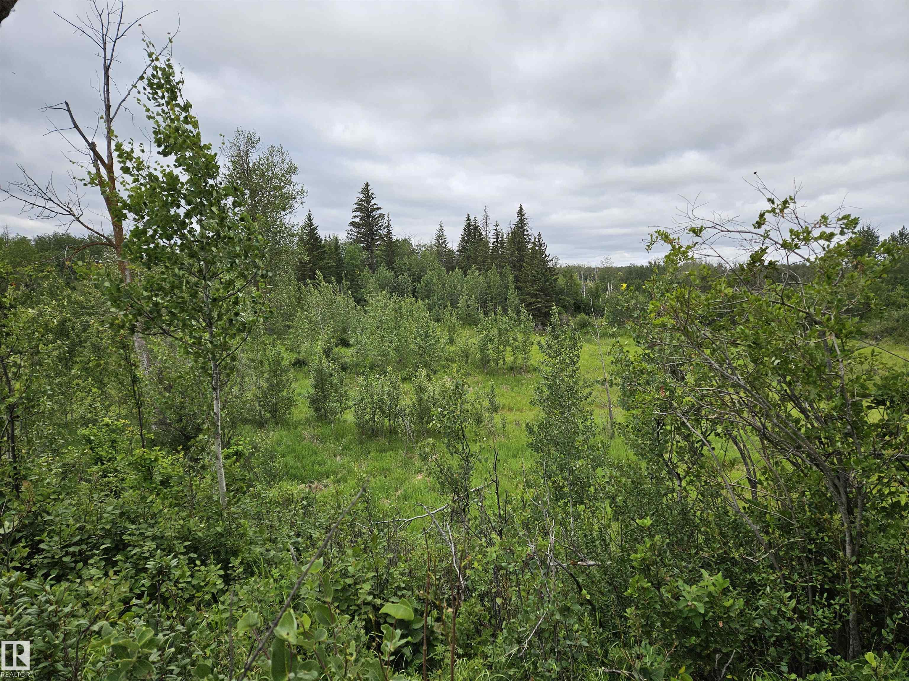  Twp Rd 533 Rr222, None, Rural Strathcona County 