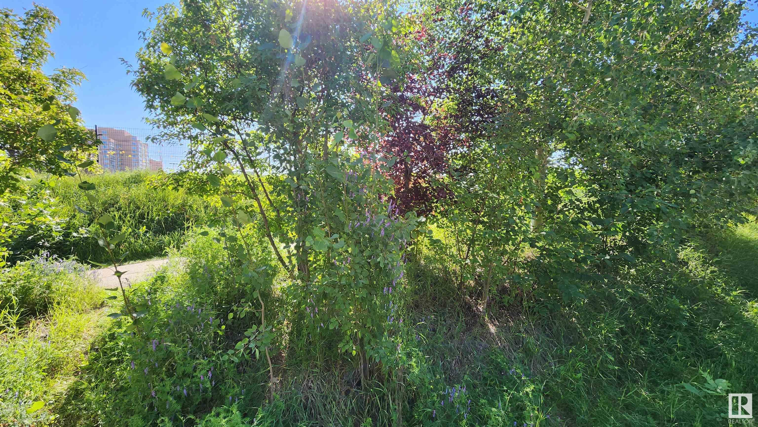 http://cdnparap120.paragonrels.com/ParagonImages/Property/p12/RAE/225360927/42/0/0/5423632392105af4f282a358030b5291/1/efceffd1dbaf130741d85c047a4f5946/225360927-b5d15860-8e8c-4c31-8c8a-e2c0f2ffbccc.JPG