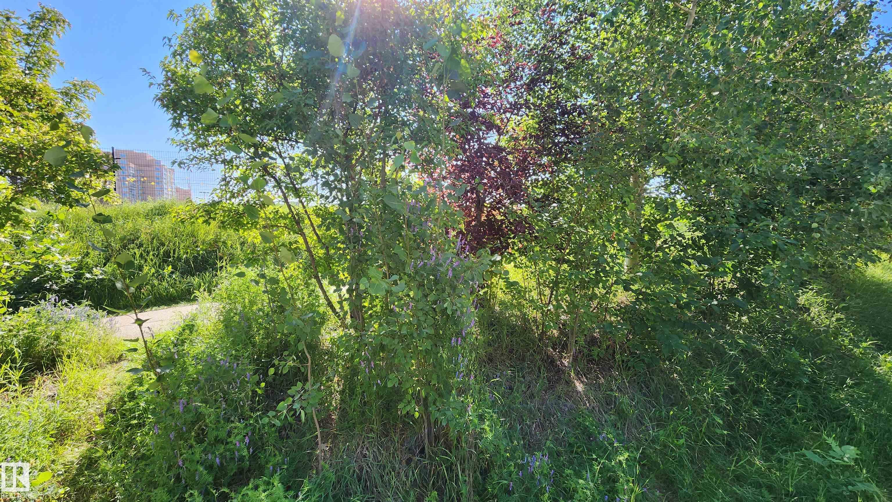 http://cdnparap120.paragonrels.com/ParagonImages/Property/p12/RAE/225360927/43/0/0/cf23df71851caddfd54586ba66a6db85/1/efceffd1dbaf130741d85c047a4f5946/225360927-b5d15860-8e8c-4c31-8c8a-e2c0f2ffbccc.JPG