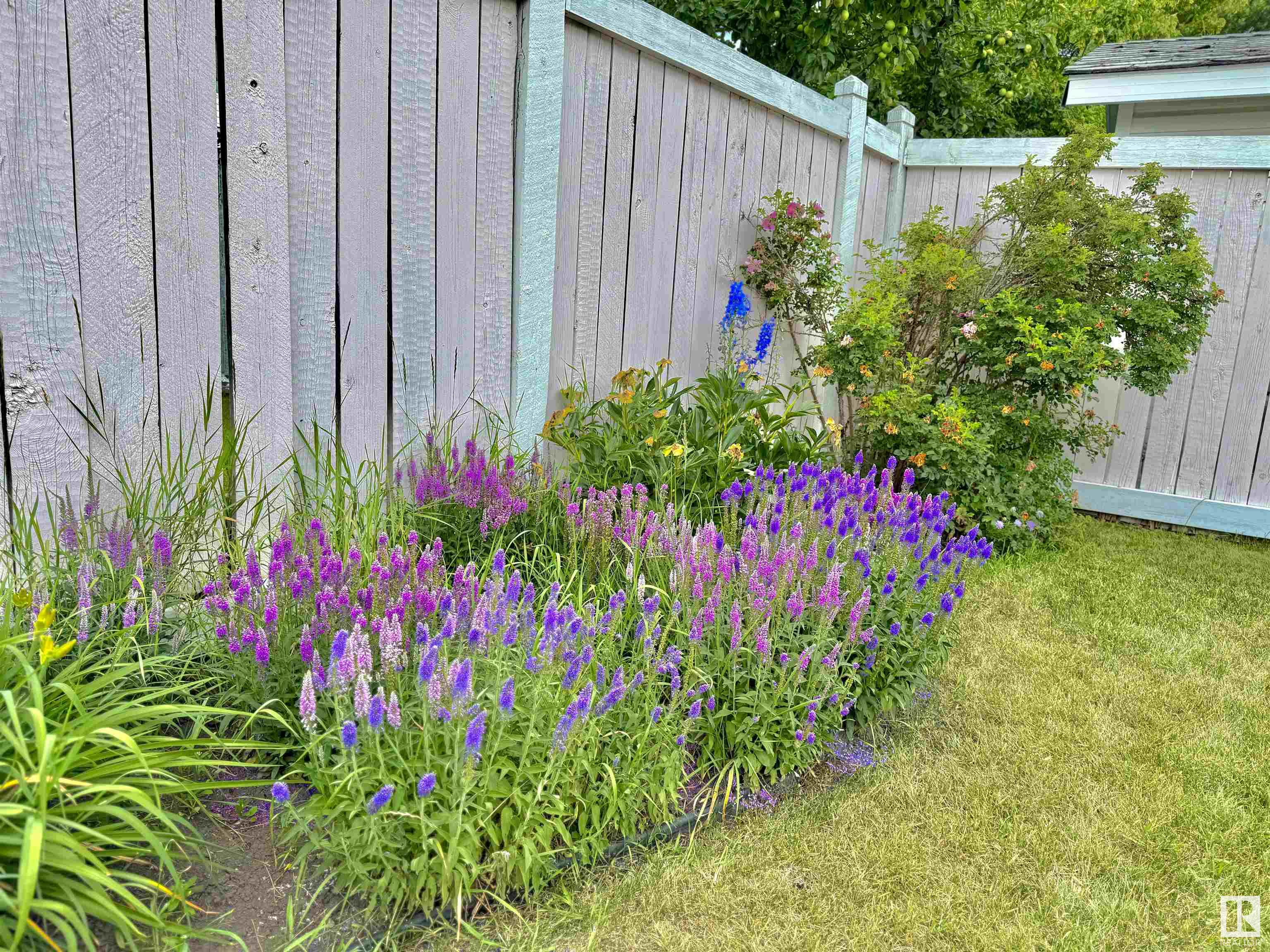 http://cdnparap120.paragonrels.com/ParagonImages/Property/p12/RAE/225360982/64/0/0/3228fa5b9e5cd306a3b5a74b50c99726/1/cdcb0988cd32eb160df8b50336a02a13/225360982-e6715632-741e-43a4-9787-862fab3f51a4.JPG