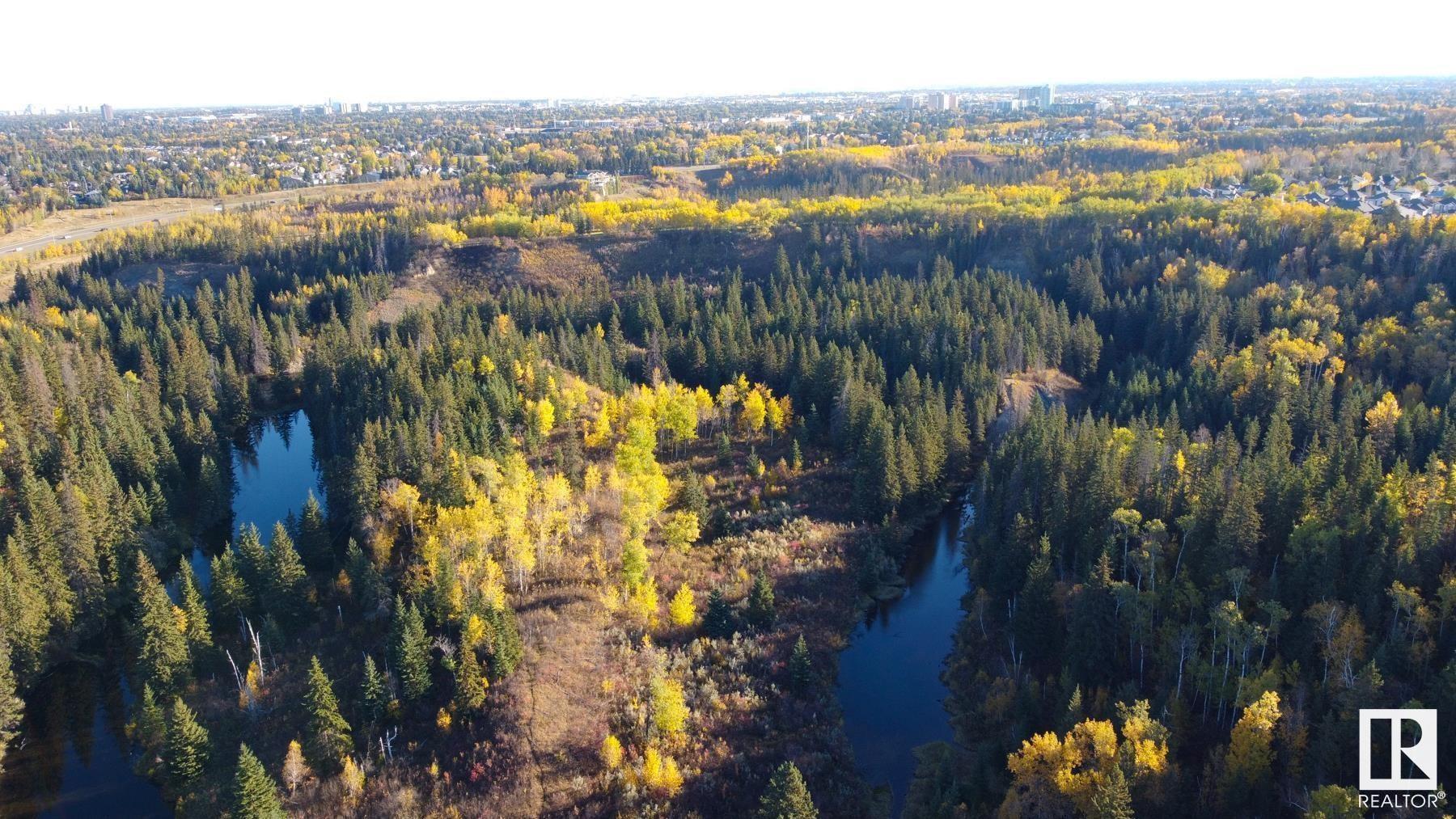http://cdnparap120.paragonrels.com/ParagonImages/Property/p12/RAE/225361003/36/0/0/7df8aec4819adb88a45e0fb604685c9e/1/cee04b357251431bd3c0583ed4caada2/225361003-6AB9E115-BA5A-43D2-9DE6-37B303004EF2.JPG
