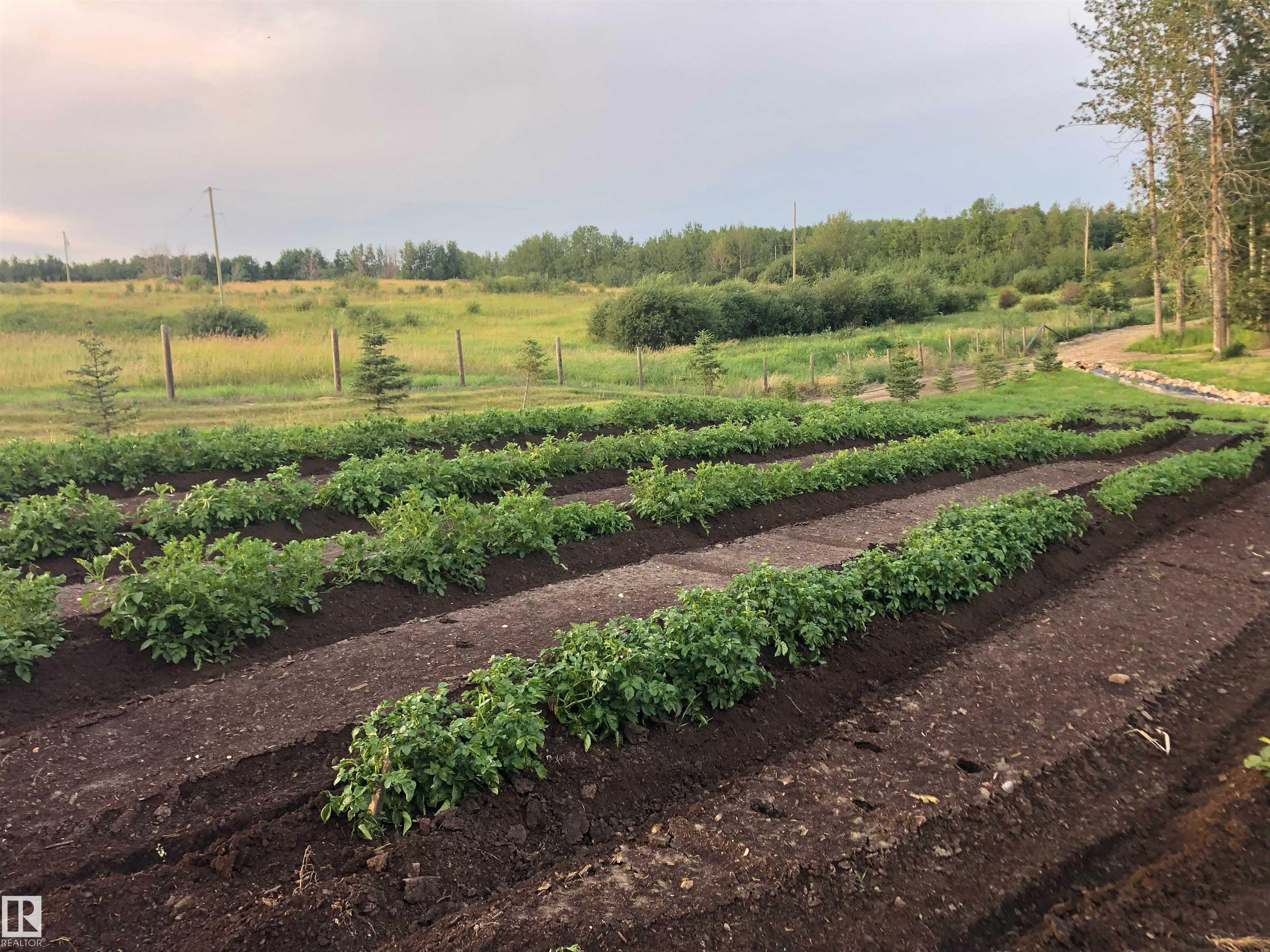 Photo 14 at 53226 Rge Road 24, None, Rural Parkland County