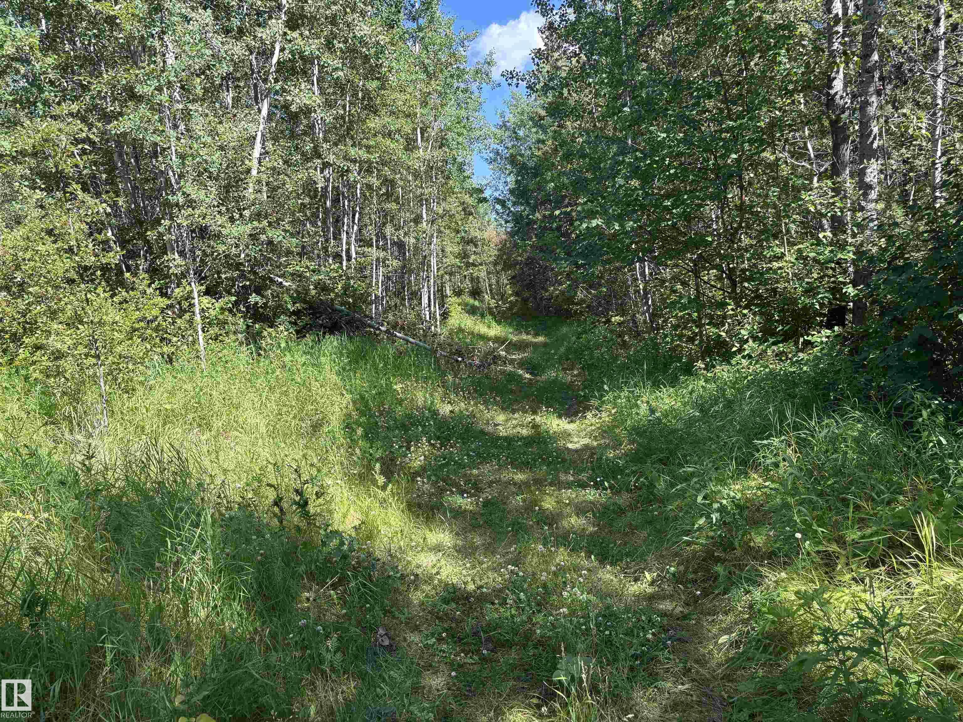 Photo 59 at 5220 Twp Road 534, None, Rural Parkland County