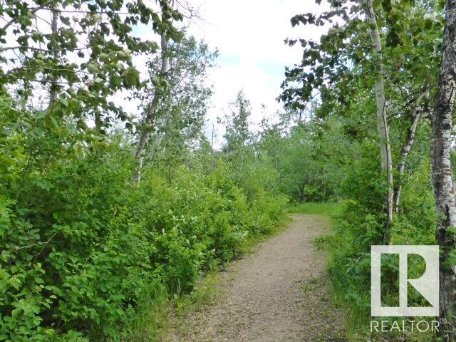 http://cdnparap120.paragonrels.com/ParagonImages/Property/p12/RAE/225363483/58/0/0/98d22de89f77515f2e3b3c3f3dcb989d/1/59f5c3e0c64e71d119844d33bda026aa/225363483-00c3d8c4-86af-499c-860c-b242bb8ea3ff.JPG
