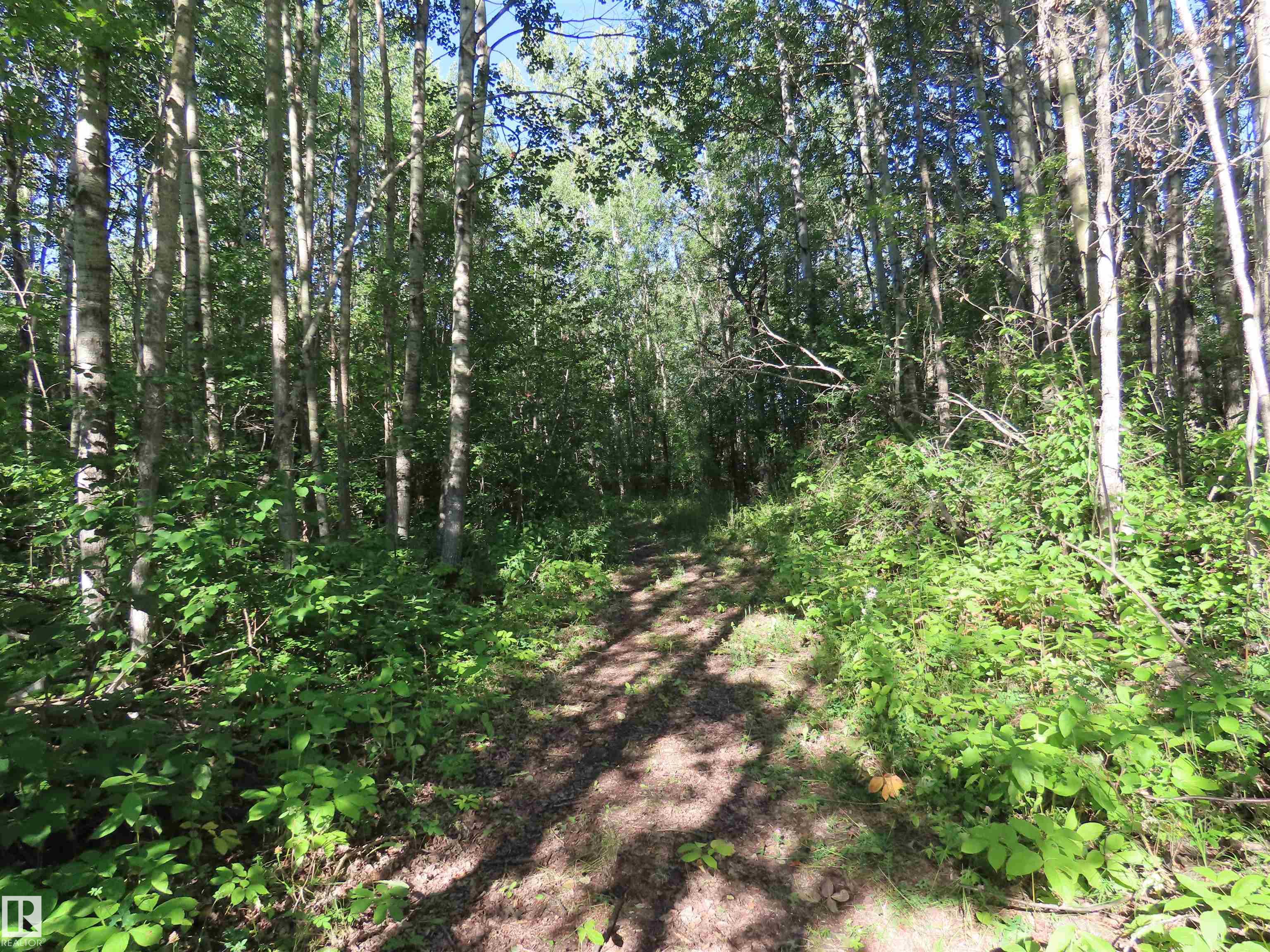 41 - 6004 Twp Road 534, Summer View Heights, Rural Parkland County 