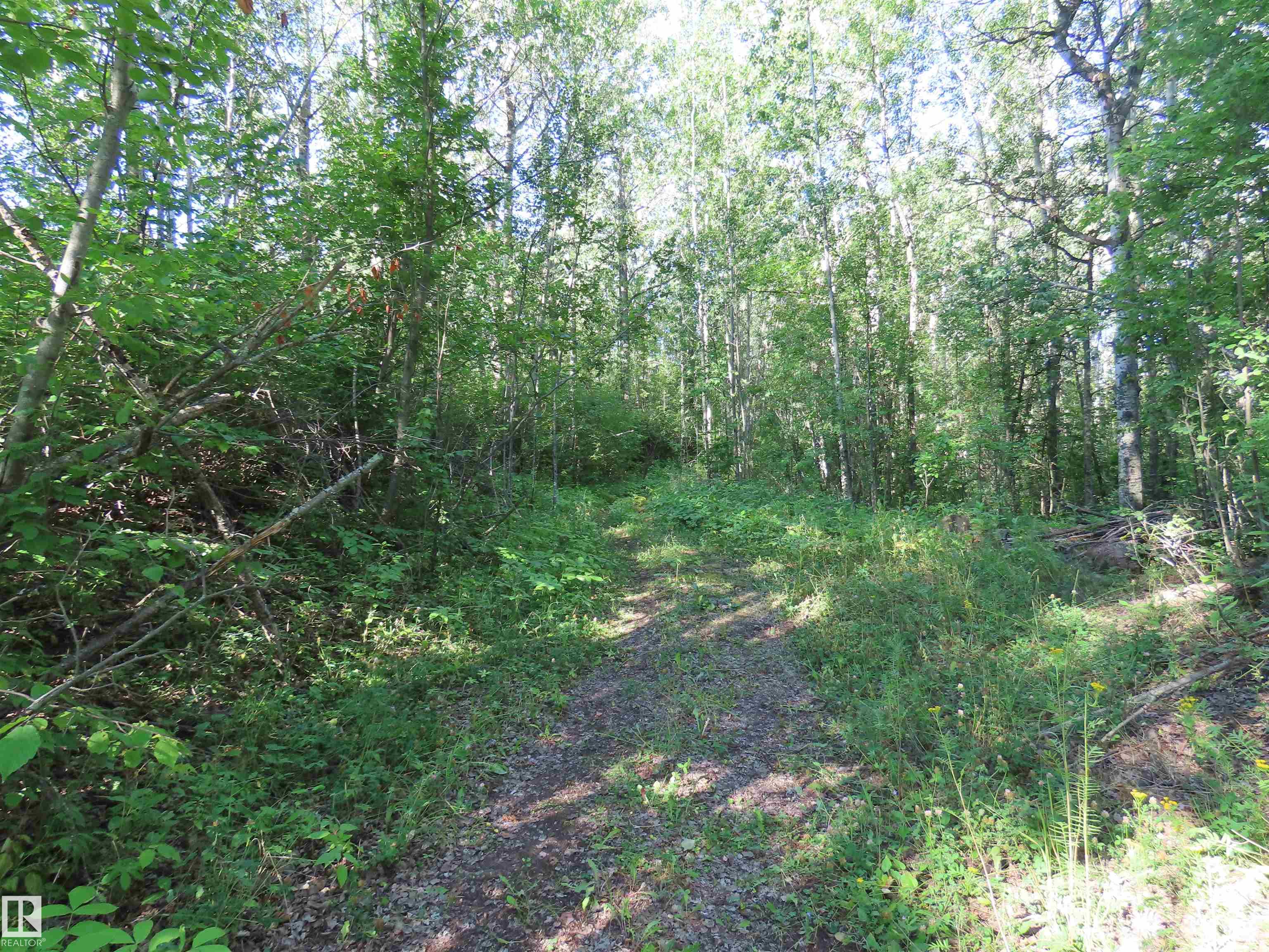 Photo 2 at 41 - 6004 Twp Road 534, Summer View Heights, Rural Parkland County