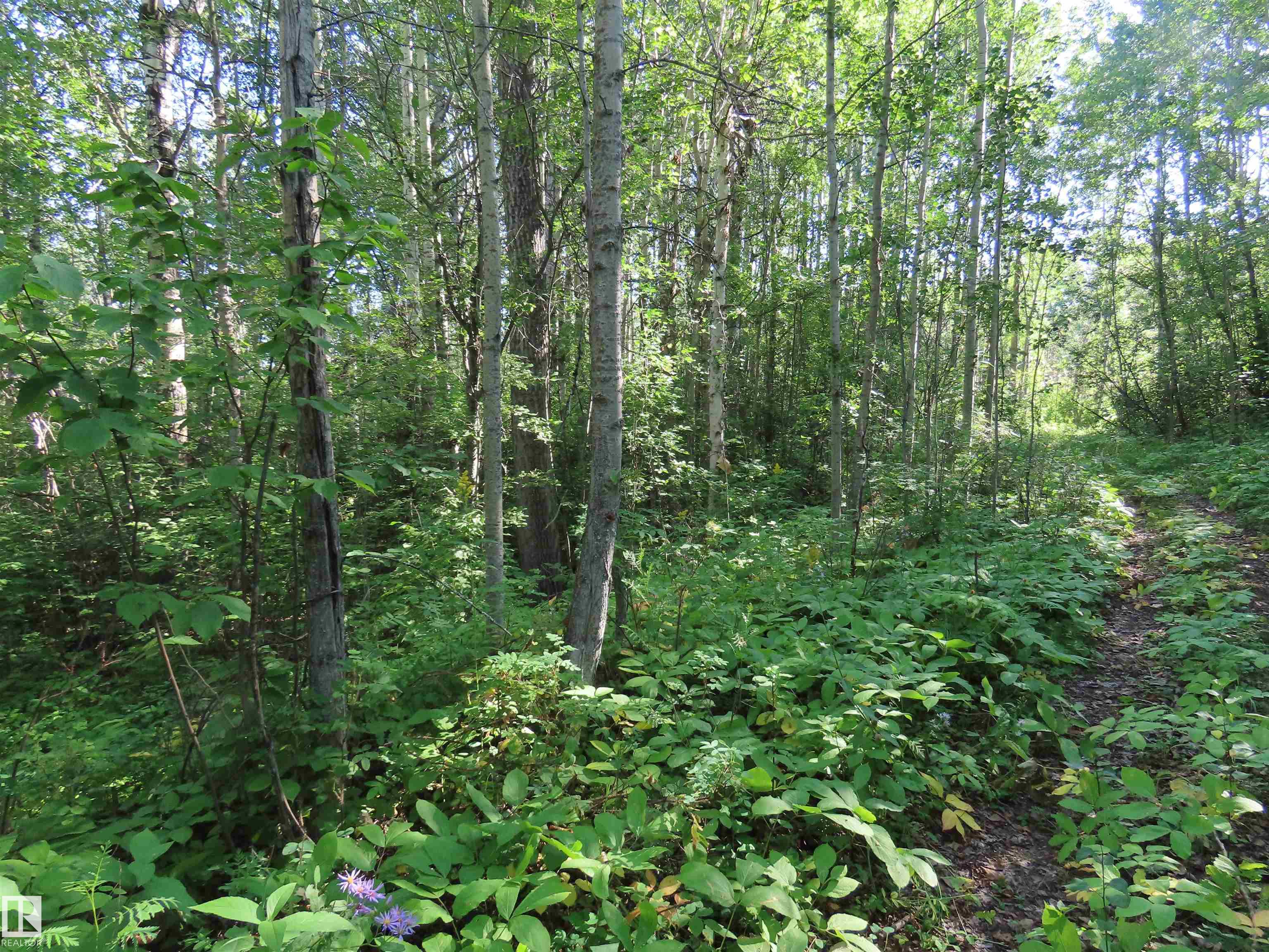 Photo 11 at 41 - 6004 Twp Road 534, Summer View Heights, Rural Parkland County