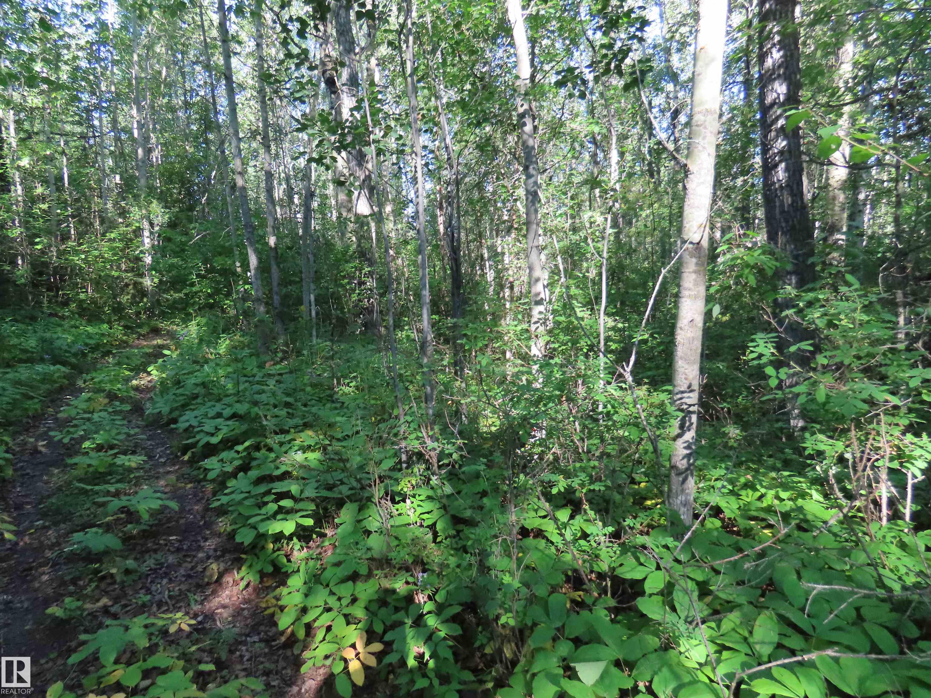 Photo 3 at 41 - 6004 Twp Road 534, Summer View Heights, Rural Parkland County