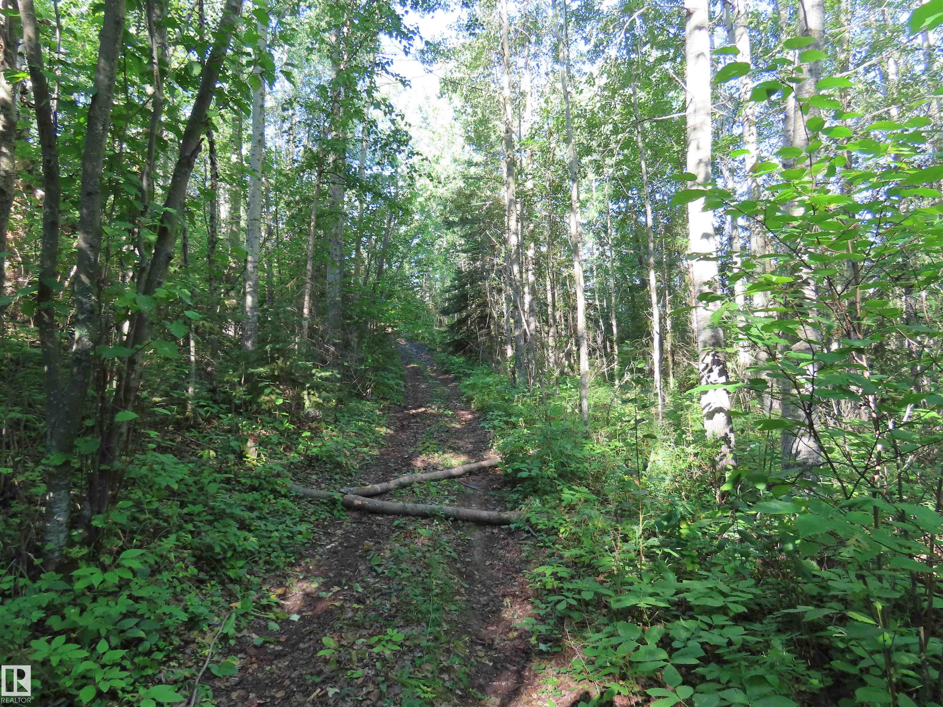 Photo 5 at 41 - 6004 Twp Road 534, Summer View Heights, Rural Parkland County
