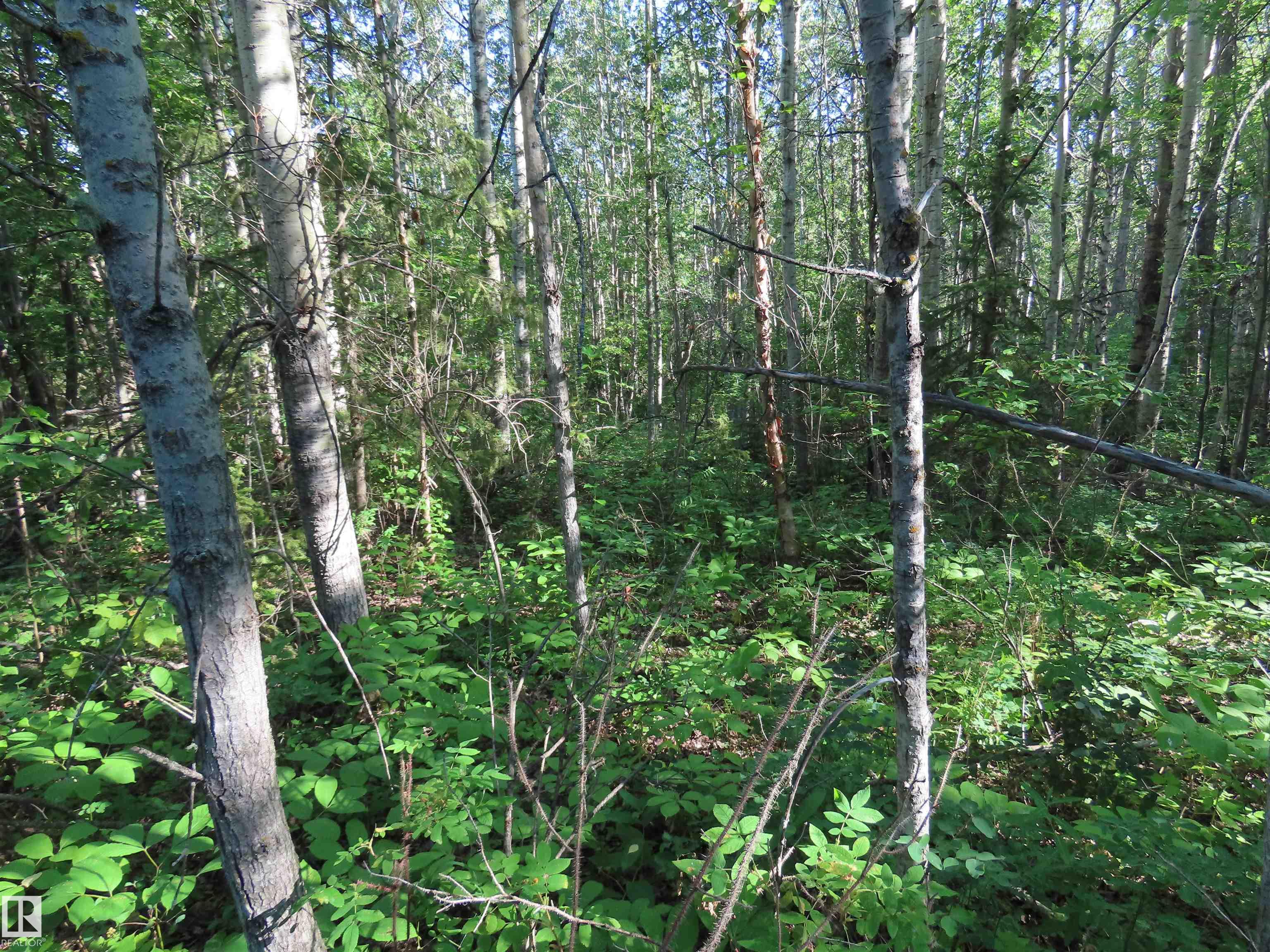 Photo 6 at 41 - 6004 Twp Road 534, Summer View Heights, Rural Parkland County