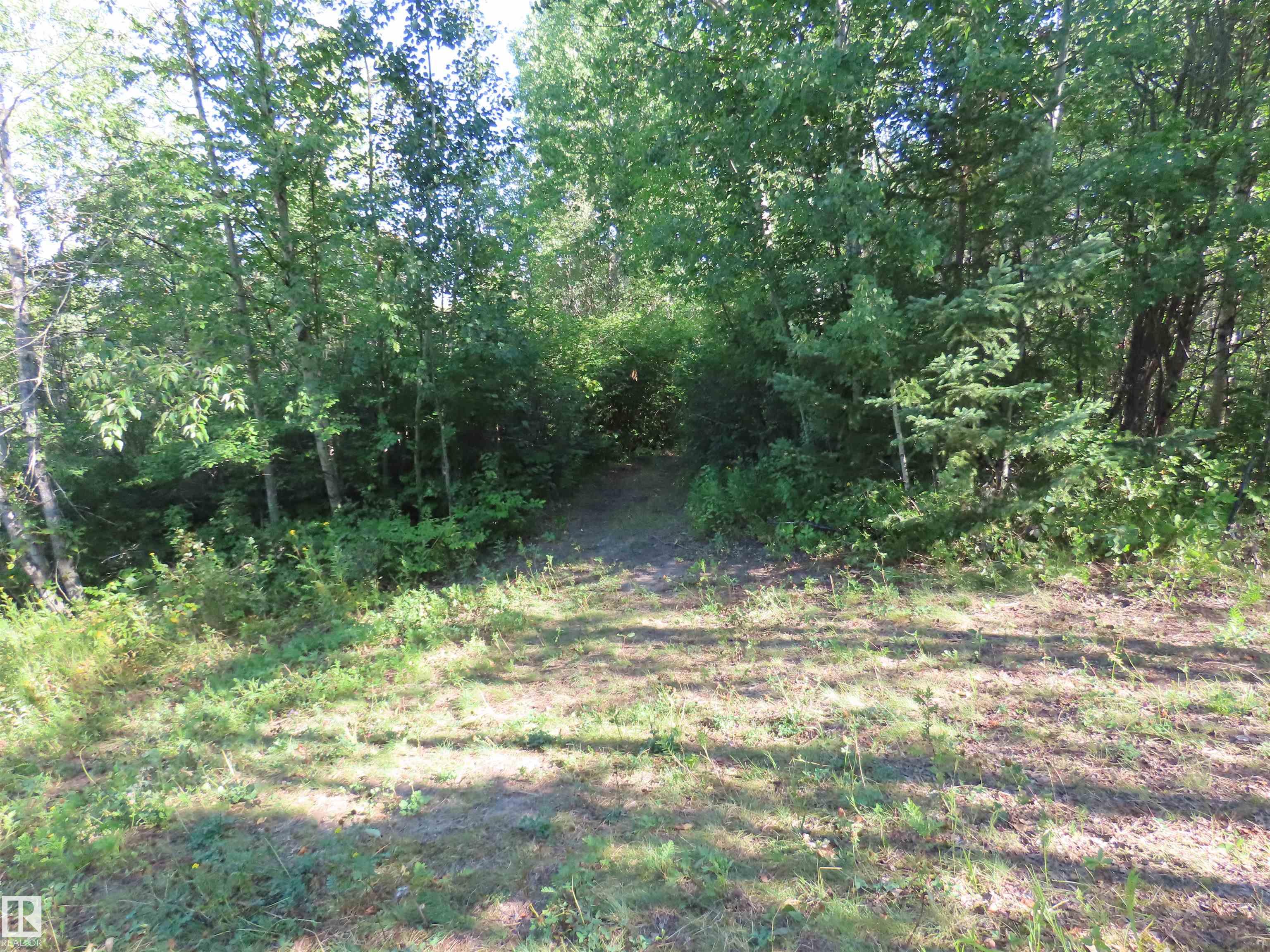 Photo 8 at 41 - 6004 Twp Road 534, Summer View Heights, Rural Parkland County