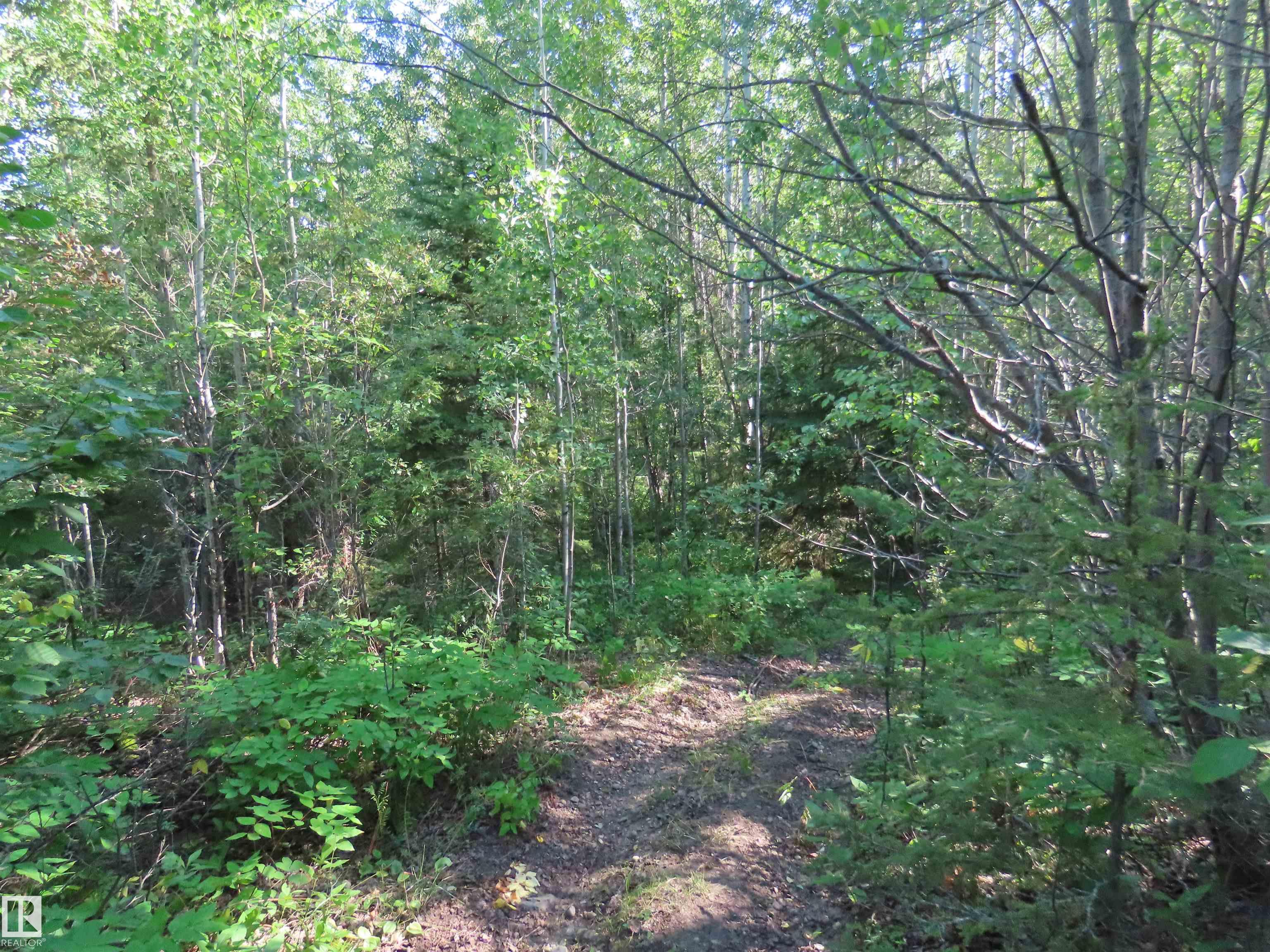 Photo 9 at 41 - 6004 Twp Road 534, Summer View Heights, Rural Parkland County