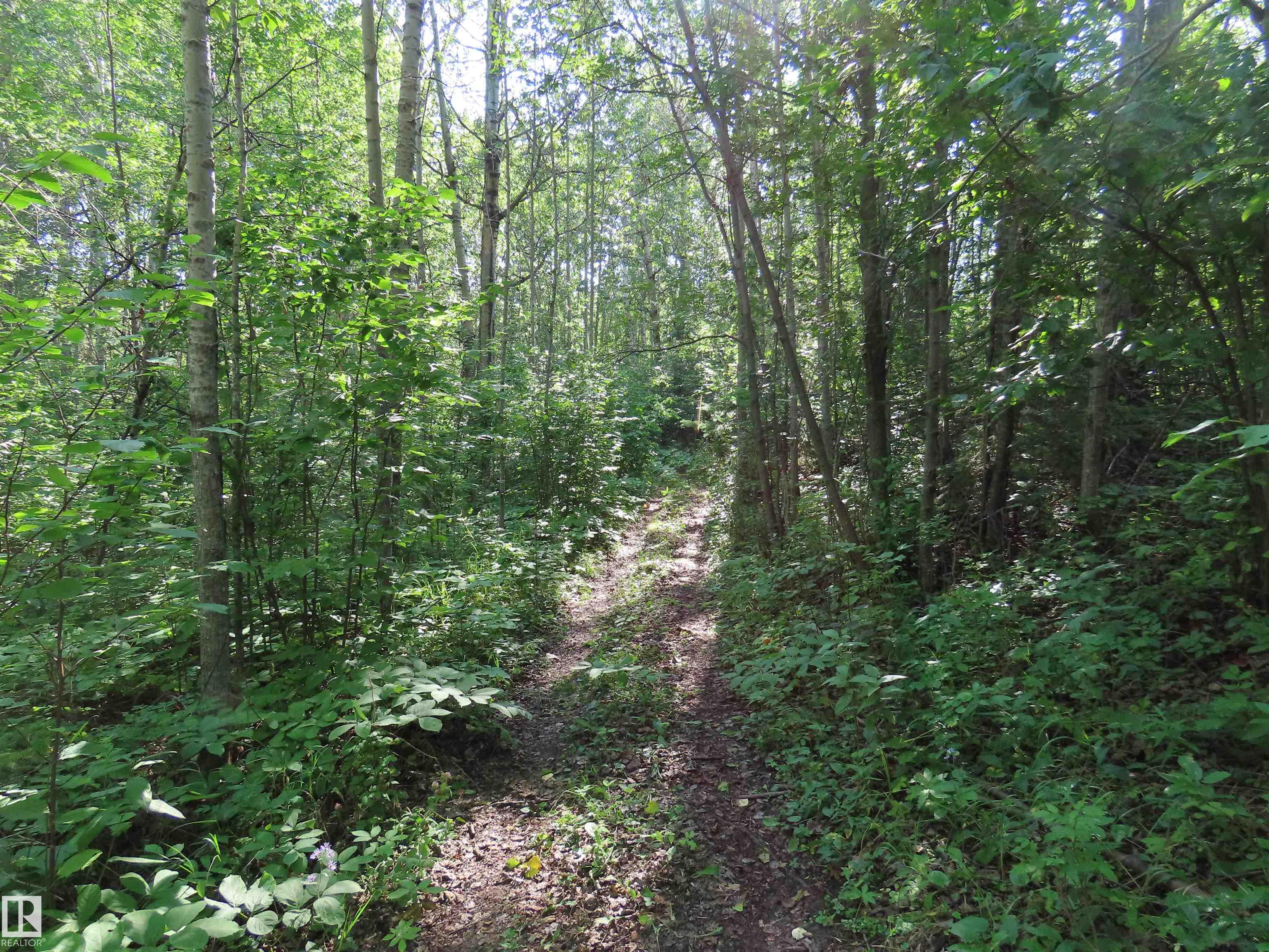 Photo 10 at 41 - 6004 Twp Road 534, Summer View Heights, Rural Parkland County